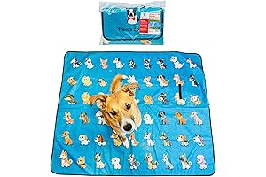 Warren London Groom 'n' Go Blanket