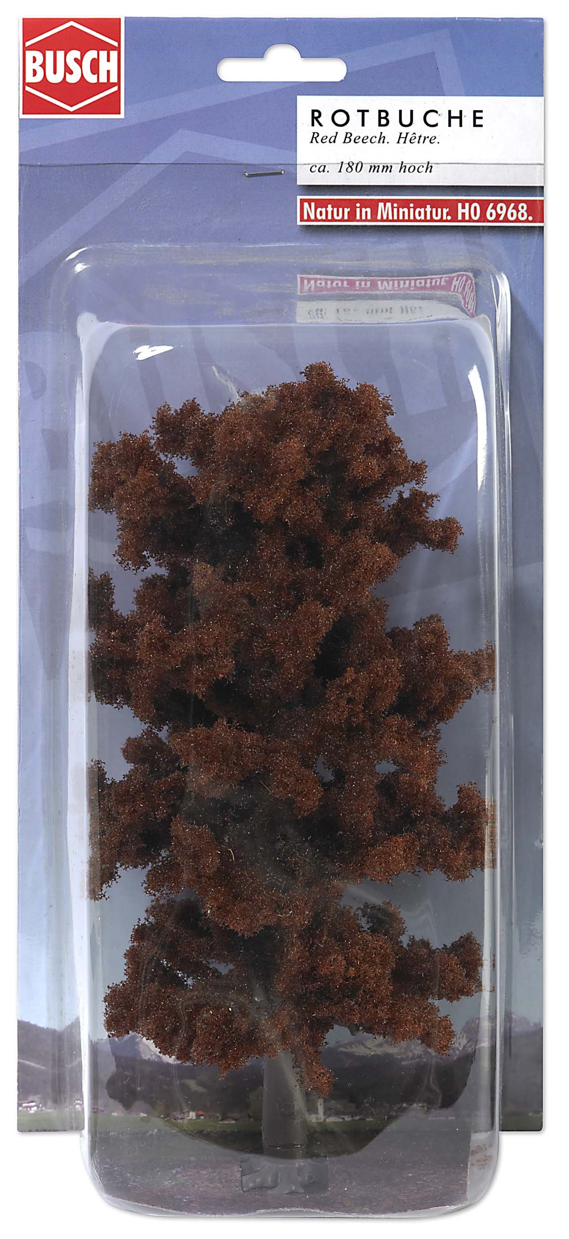 Copper Beech Tree 180mm