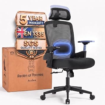 Realm of Thrones Ergonomic Office Chair, 3D Armrests and 2D Lumbar Support | AVALON High Back Mesh Desk Chair for Home Office, 3D Headrest, 10cm Memory-Foam Seat, 135° Recline, 150kg,