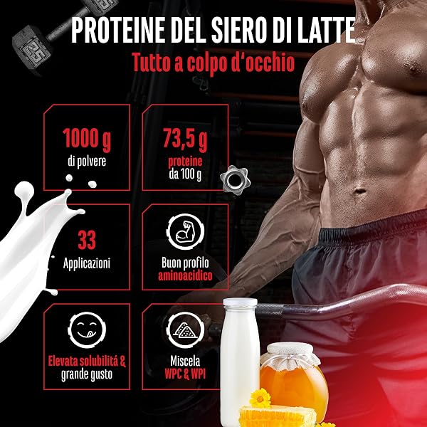 Whey Proteine Complesso - 1000 g (Latte con miele) - Con contenuto isolato - Proteine in polvere solubili istantanee con BCAA ed EAA - German Elite Nutrition - 2