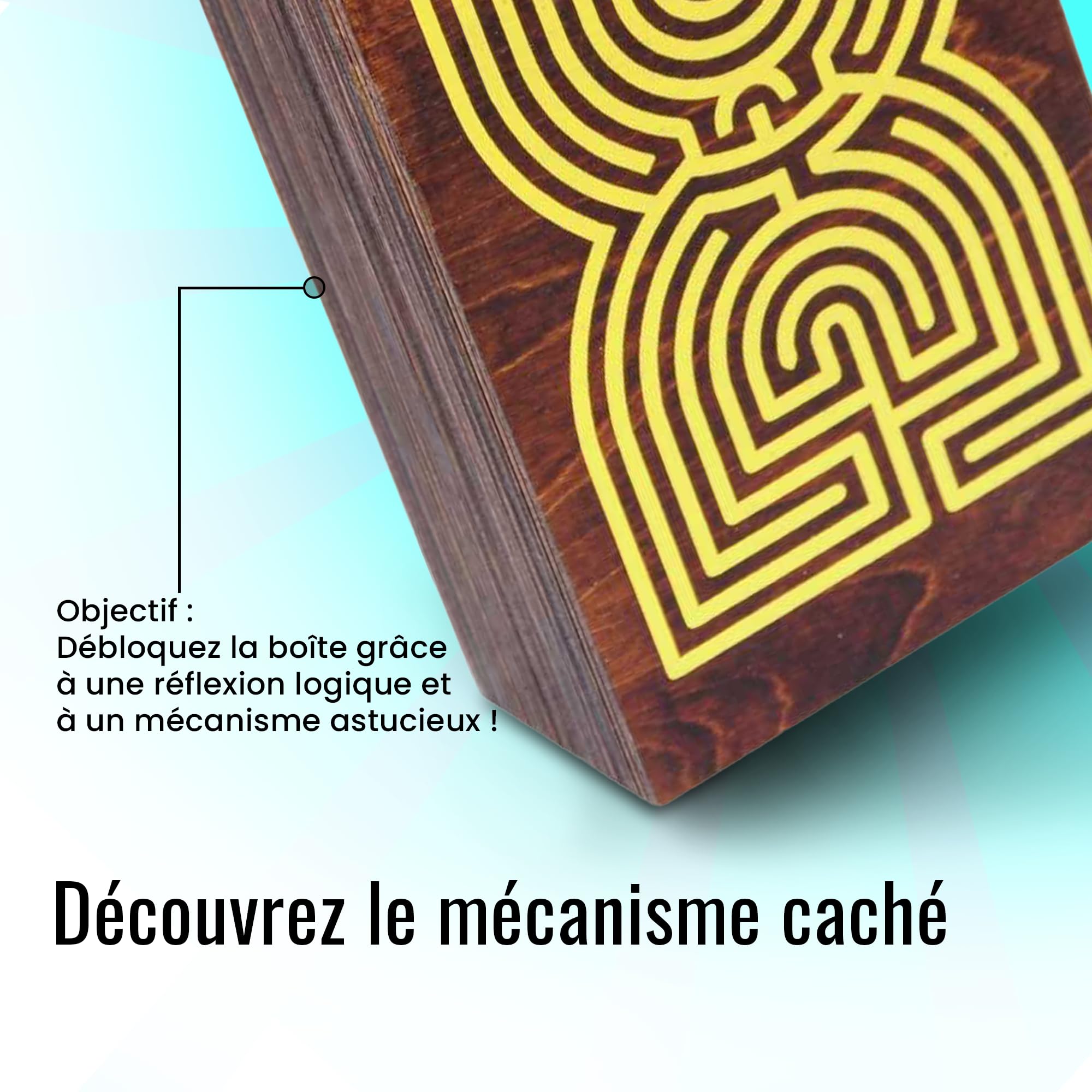 Logica Jeux Art. Coffret Labyrinthe - Casse-Tête en Bois - Coffret Secret - Difficultè 5/6 Incroyable - Collection Leonardo da Vinci