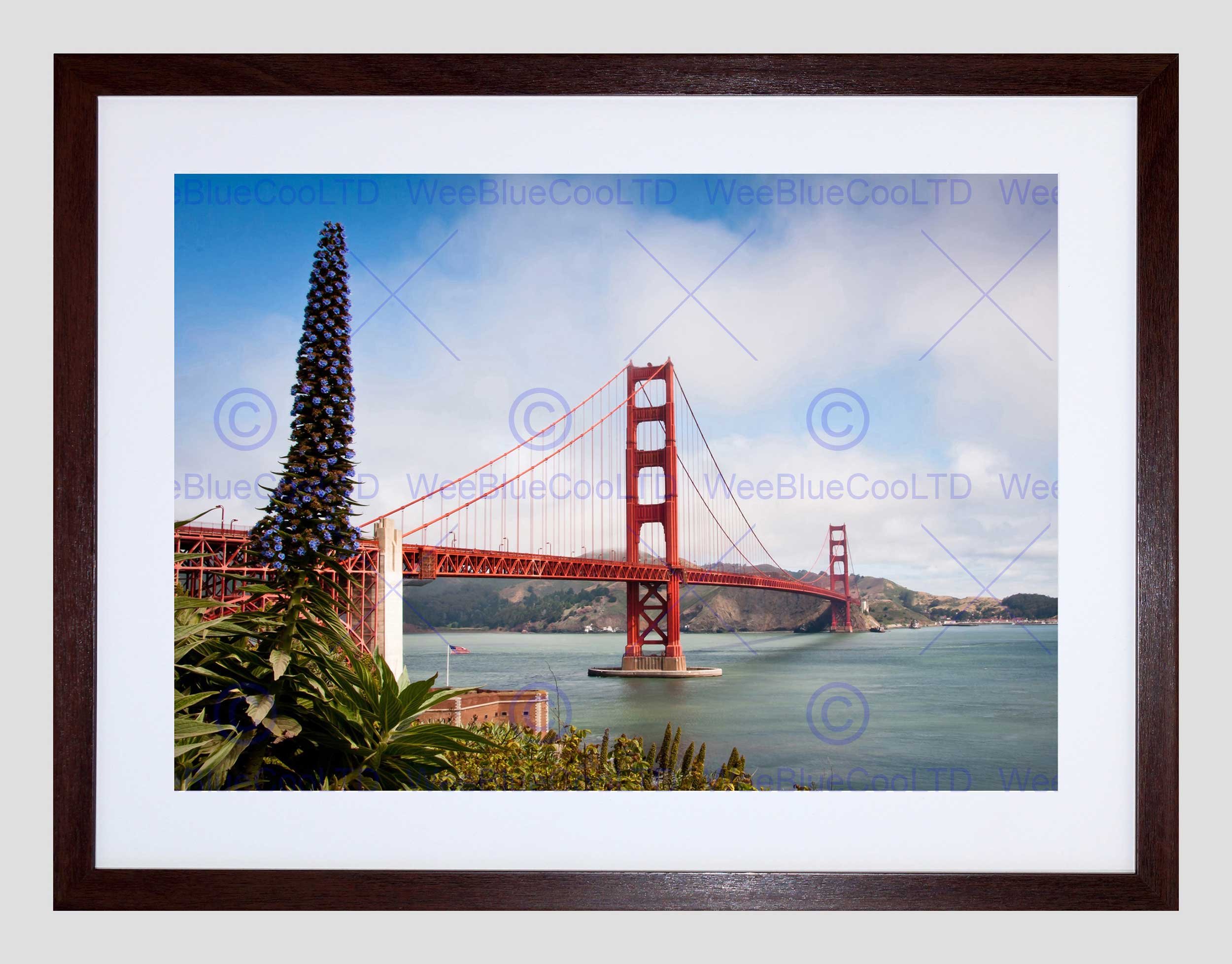 Wee Blue Coo Golden Gate Bridge San Fransisco USA Picture Framed Wall Art Print