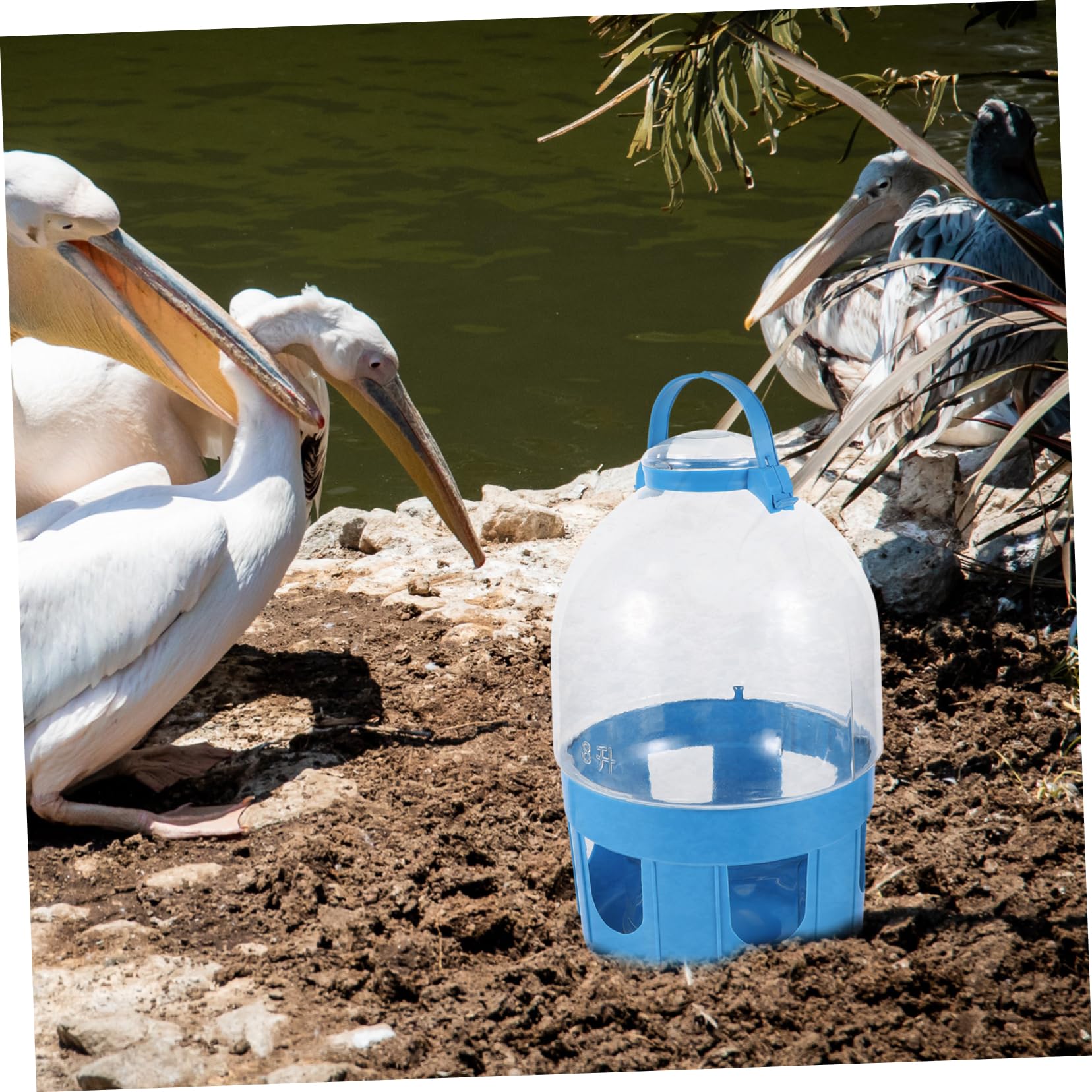Wasserspender für Tauben mit Großer Kapazität Abnehmbar und PVC Runde Form für Trinkwasserversorgung von Vögeln und Tauben zu Hause Zufällige Farbe