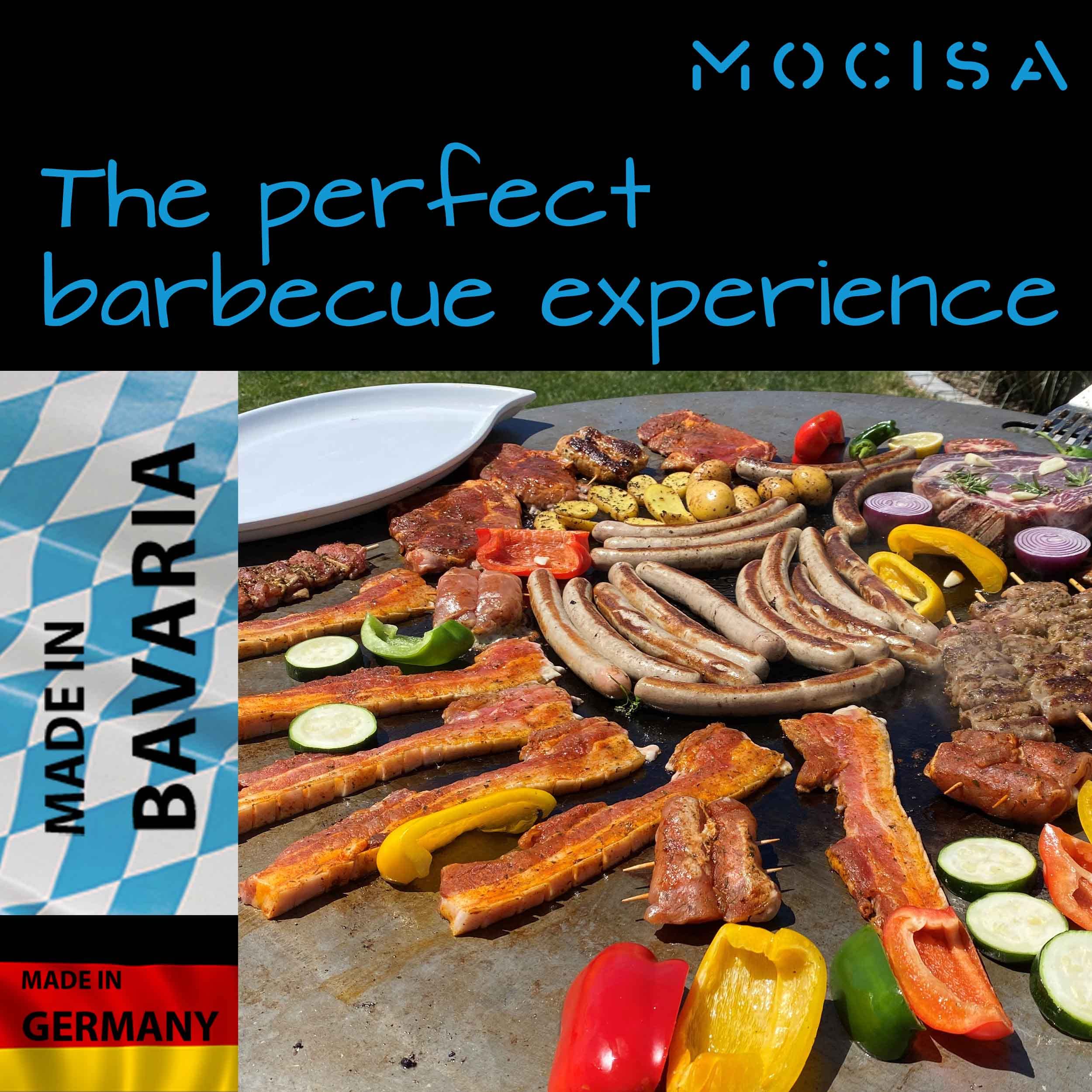 Plancha Barbacoa VEVOR - Parrilla De Asador De Acero Inoxidable Con Parabrisas, Parrilla De Asador De Cerdo Plancha Acero Inoxidable Barbacoa