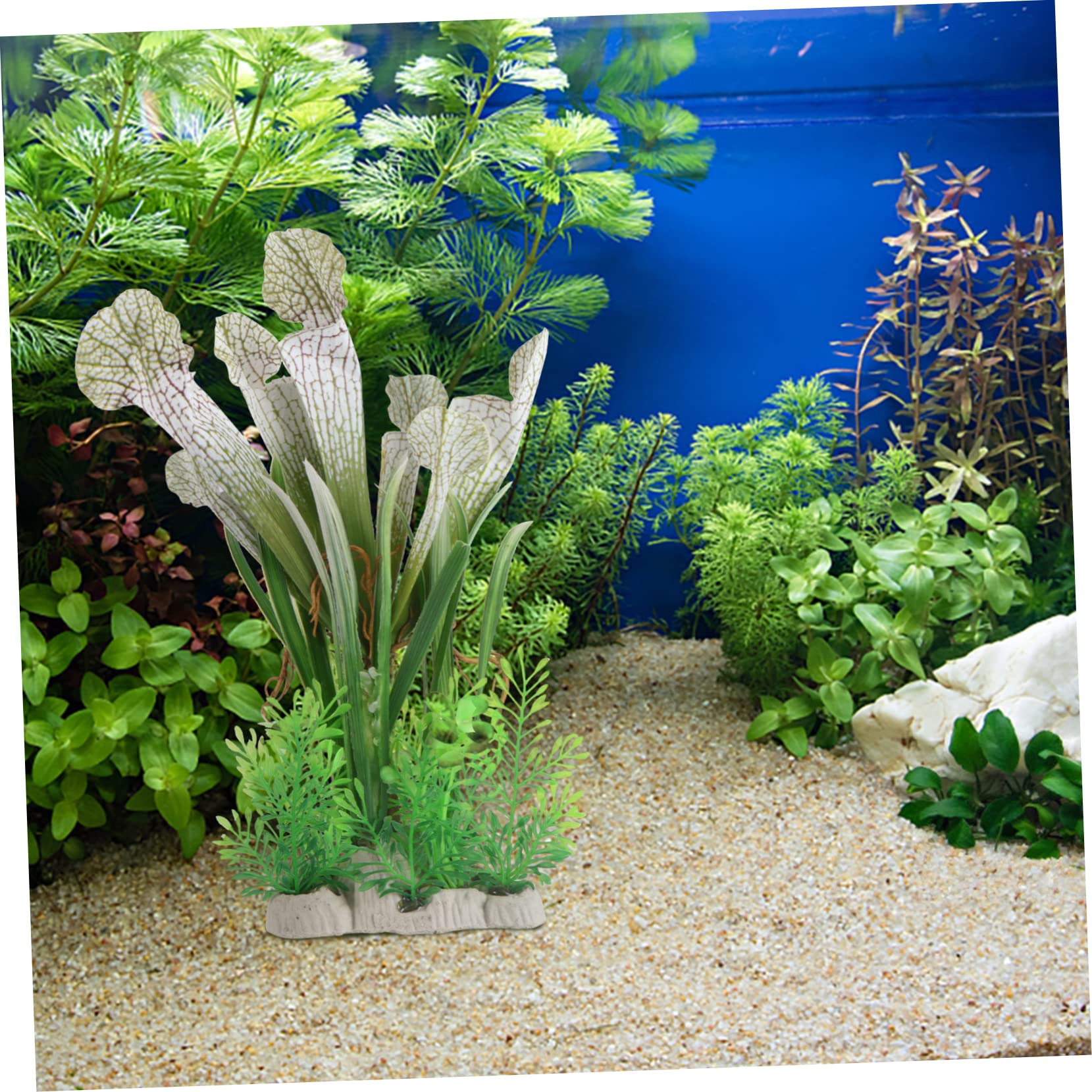 Produktbild von Natürliche/Echte Künstliche Pflanzen Für Aquarien