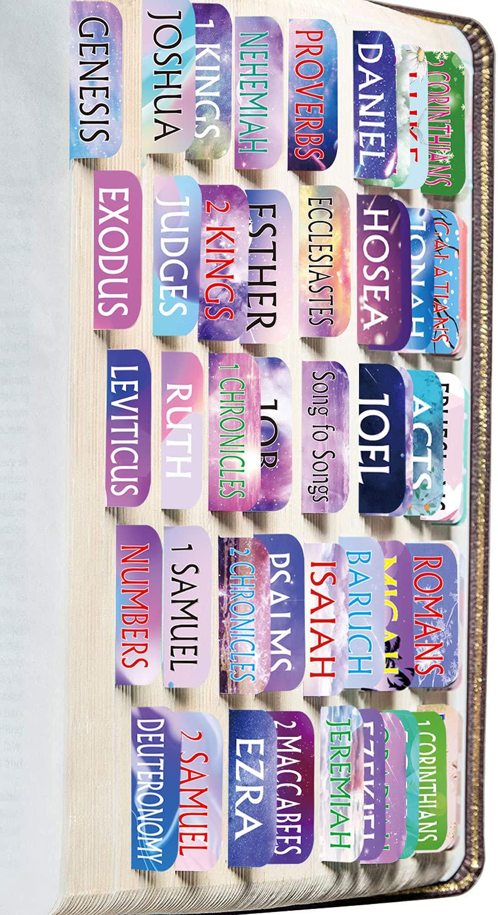Buy Colorful Bible Tabs, Personalized Laminated Bible Journaling Tabs