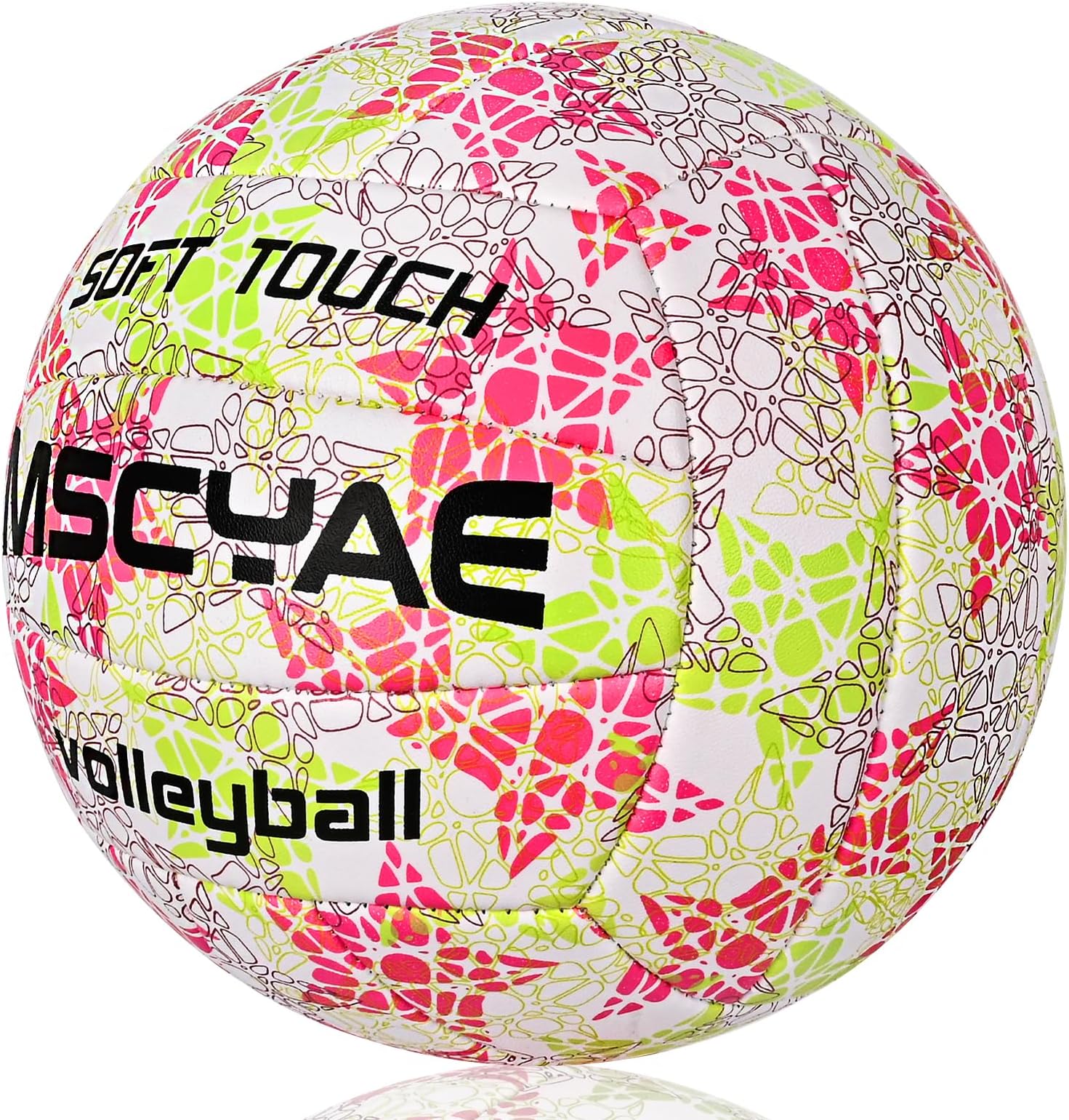 MSCYAE Volleyball