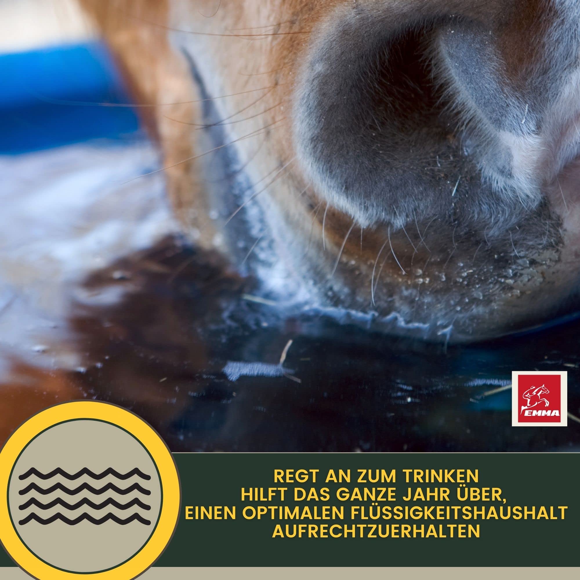 Pferde Elektrolyte Pulver & Aminosäuren komplex I Elektrolyt Pulver Kalium Natrium Calcium Magnesium Elektrolyten Aminosäuren Pferd I Elektrolyte Pferd Hydraid bei Durchfall Kotwasser Schwitzen 700g