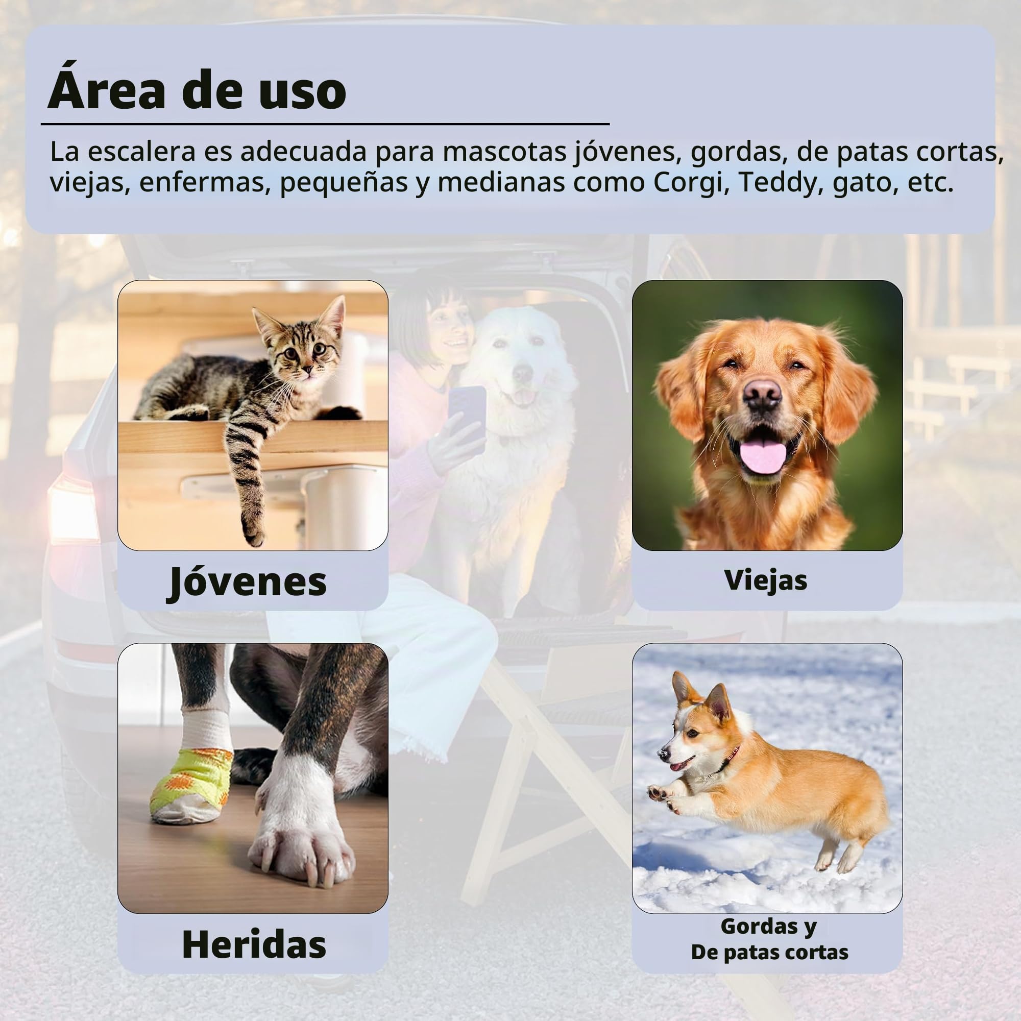 ACXIN Escalera Para Mascotas 2 En 1 Rampa Plegable Para Cama Sofá Coche Perros Pequeños Y Grandes