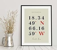 Vista 6 de Mapa de Bayamon, Puerto Rico, Coordenadas Multilíneas de Colores (8x10)