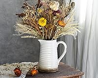 Vista 2 de Quoowiit Ceramic Rustic Vase with Handle, White Distressed Decorative Farmhouse Pitcher Vase for Home Decor Living Room Bedroom Kitchen Office Shelf