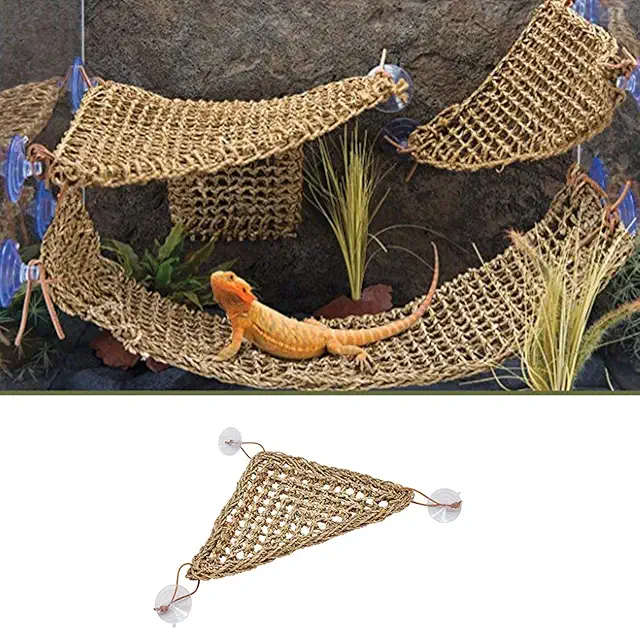 Hamac Naturel pour Terrarium Pogona - Habitat Reptile Lézard Caméléon