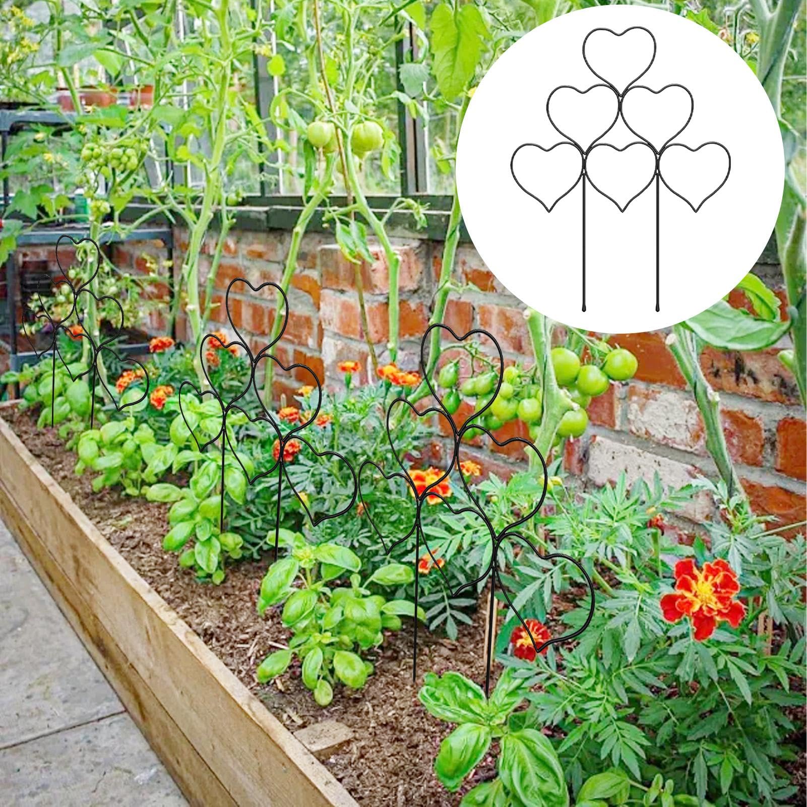 Amazon | 植物トレリス 屋内 | 小さなガーデントレリス 積み重ね可能