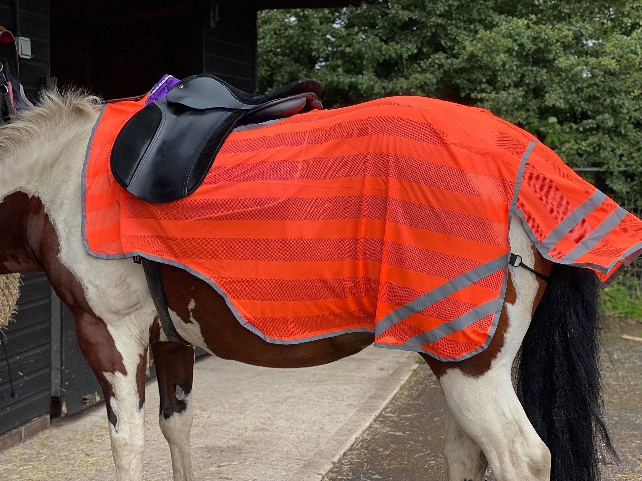 Drap D'exercice Equipride Reflex HIND – Haute Visibilité, Orange Fluo, Bandes Réfléchissantes Argentées, Pour Cheval