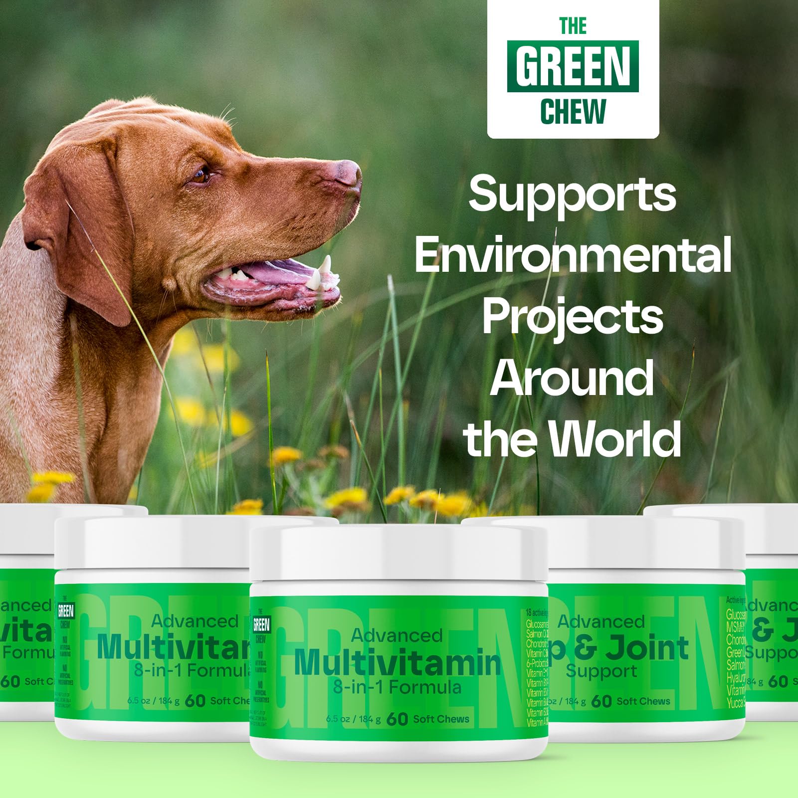 8-in-1 Advanced Multivitamin for Dogs - Chicken Soft Chews - 60 Count — Amazon image 6