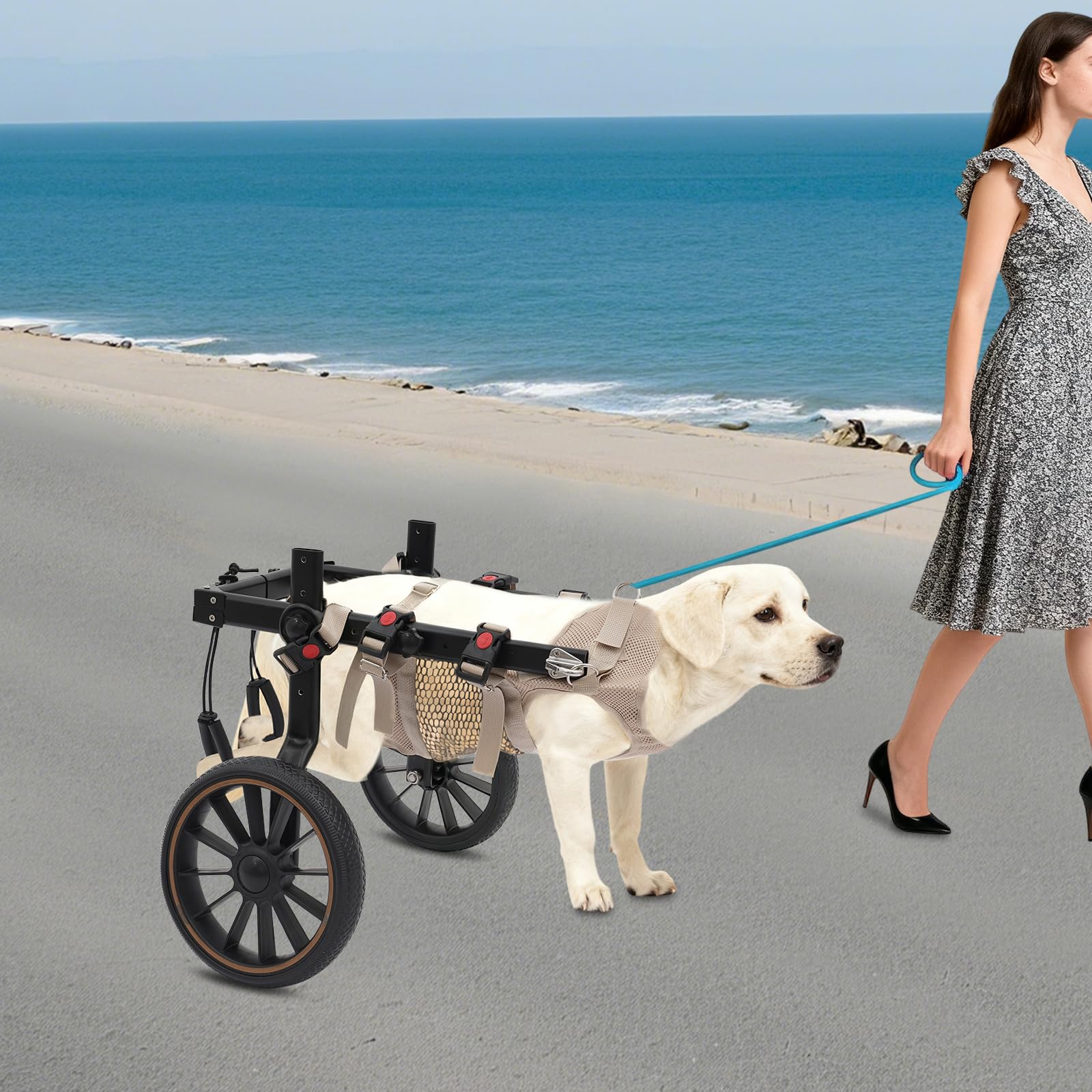 Fauteuil roulant réglable à deux roues, pour chiens handicapés, convient pour la rééducation des petits chiens, 0 à 65 kg