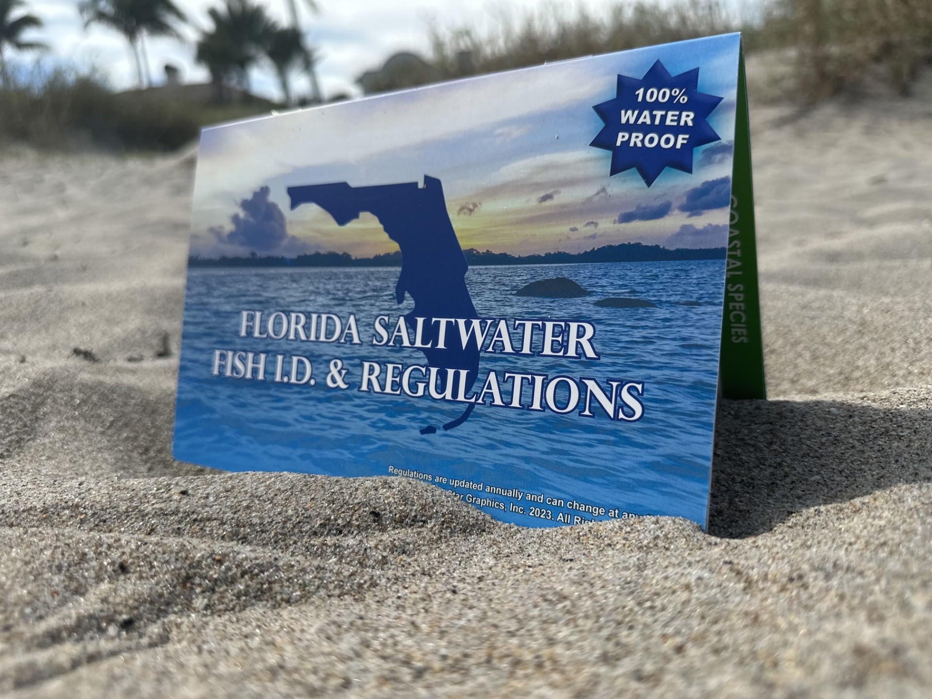 Fish Like a Pro with an Easy to Identify Waterproof Florida Marine and Fish Chart! Over 70 Fish and Shark Photos, Seasons, FWC Rules, Regulations, etc.
