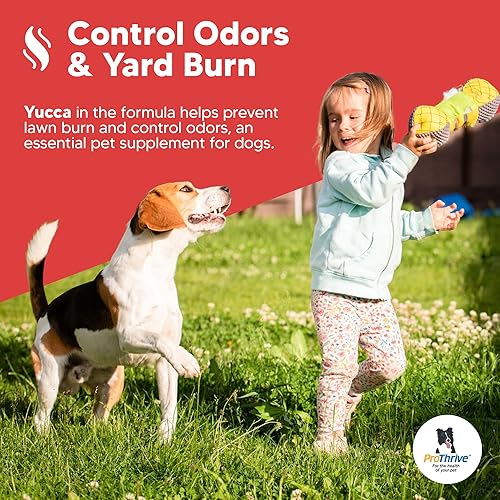 Miniatura 5 de Spunky - Suplemento de cadera y articulaciones de nivel II para perros, glucosamina para perros con MSM, vitaminas y suplementos para perros que