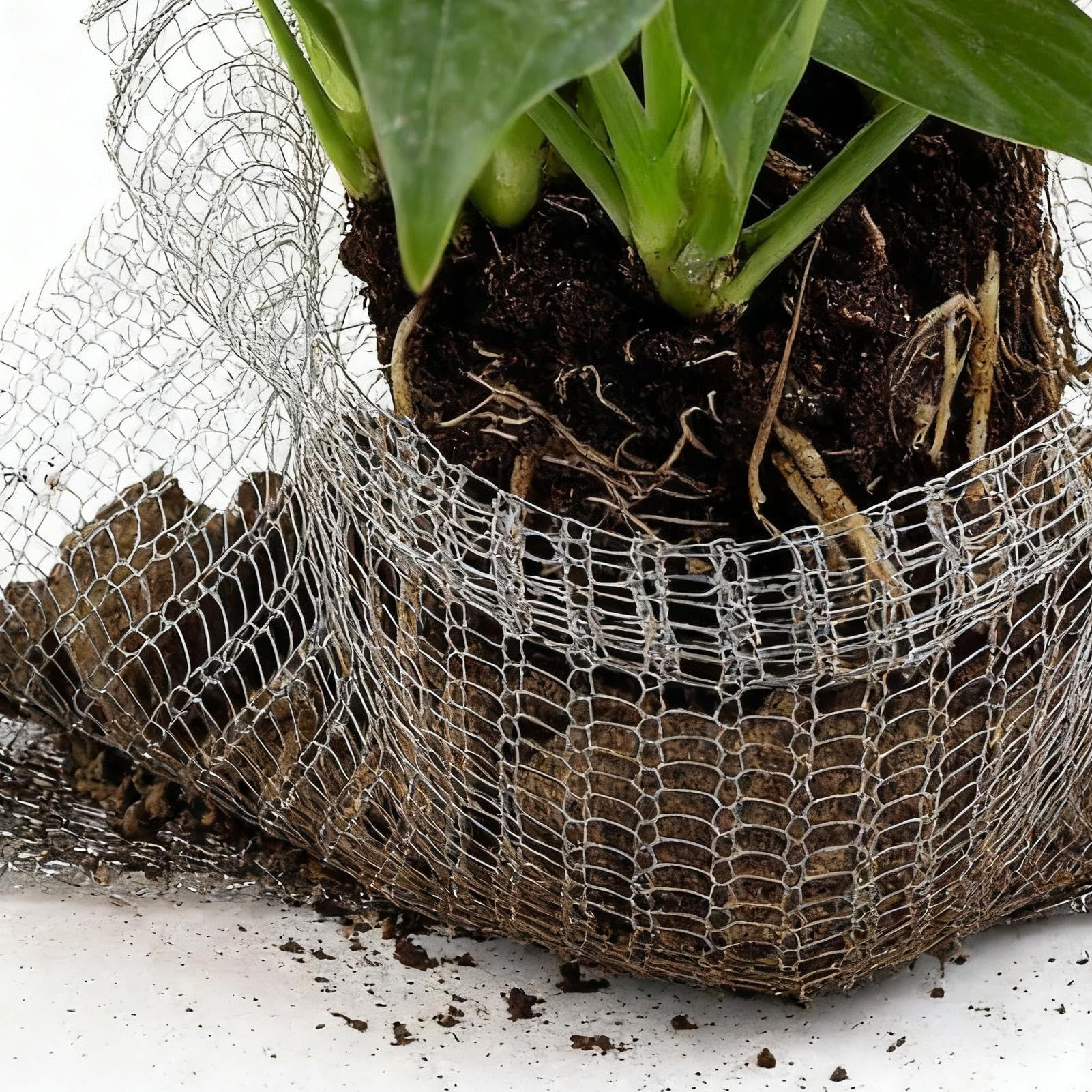 Pokrowce na żarówki ze stali nierdzewnej, ochraniacze roślin, klatki siatkowe do ochrony wiewiórek i zwierząt, idealne do użytku wewnątrz i na zewnątrz, ogrodu, drzew, warzyw i cebulek kwiatowych