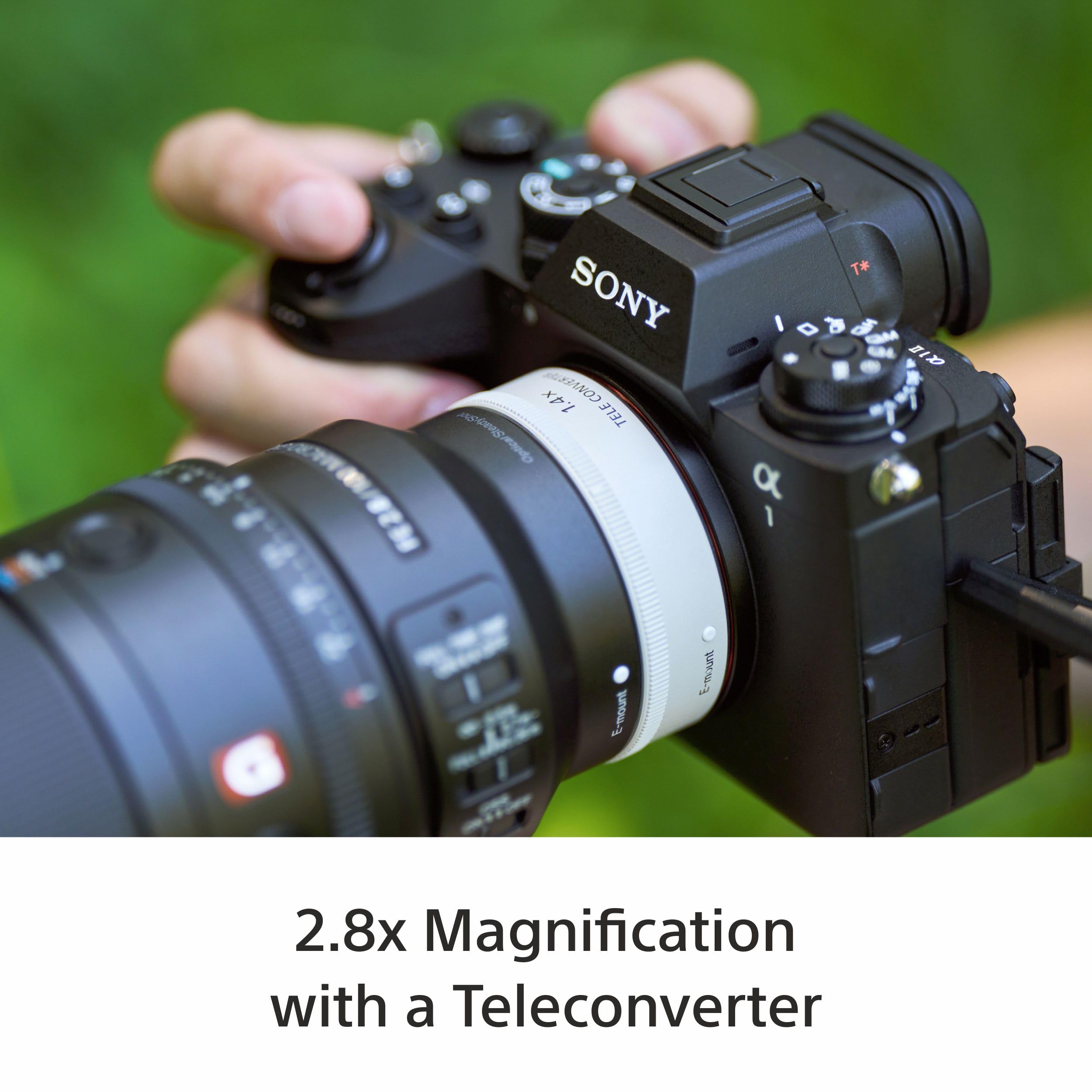 Sony E-Mount FE 100 MM F2.8 Macro GM OSS Full-Frame Lens