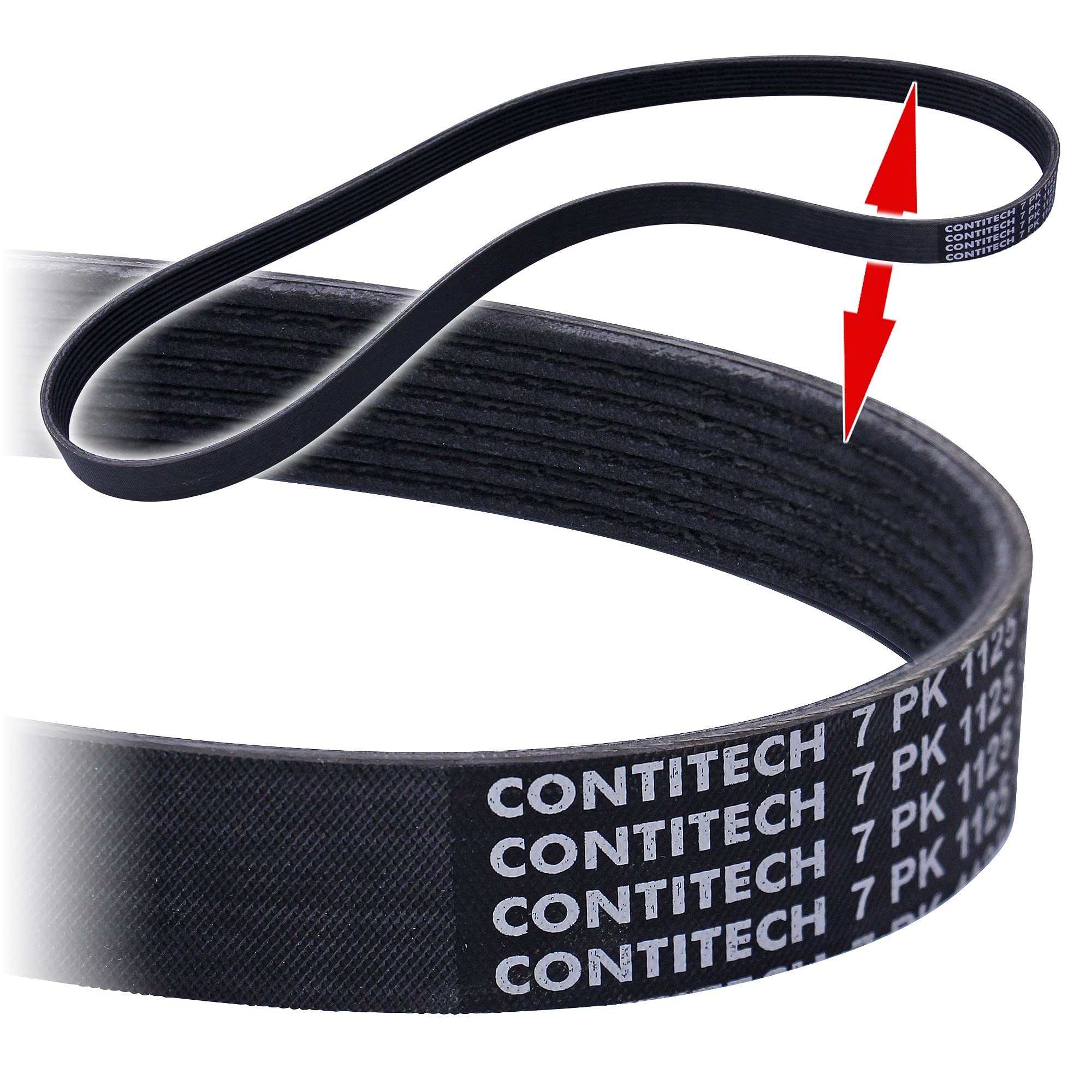 Contitech – 7pk1125 K1 correa de distribución