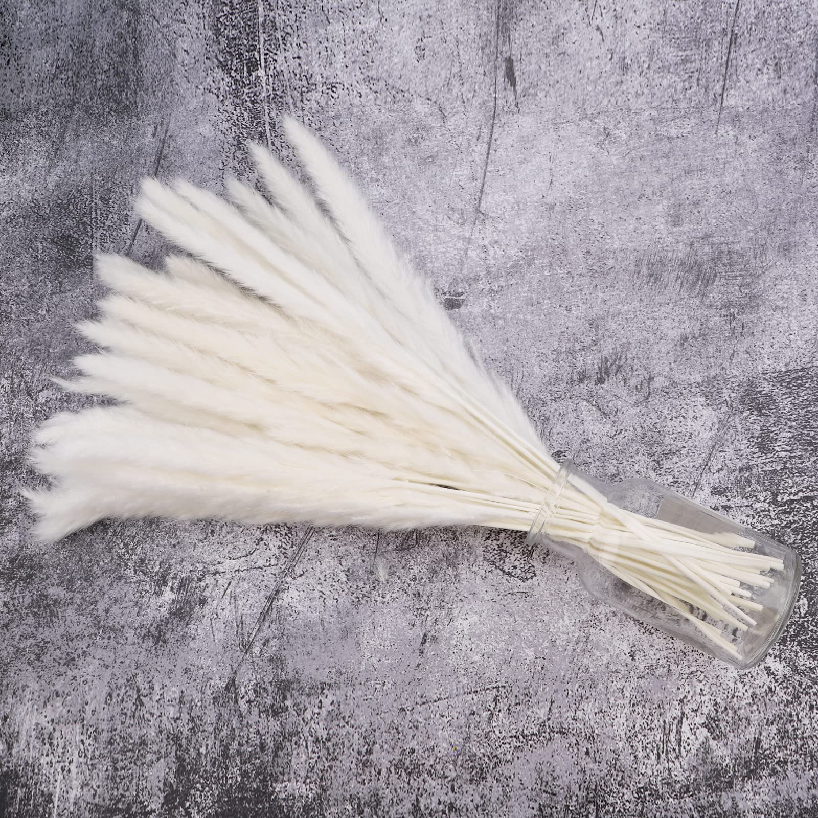 30 Pieces White Natural Dried Pampas Grass Artificial 40cm Boho Home Decor Natural Phragmites Communis Dried Flowers for Vases White Bouquet Flower Phragmites Wedding Holiday Party Decor