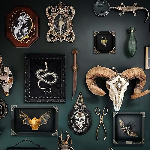 Miniatura 3 de Flor enmarcada real Mantis Insecto muerto Escarabajo verde seco Caja de sombra Marco negro Taxidermia Muestra de insecto Oddity Mesa Standable