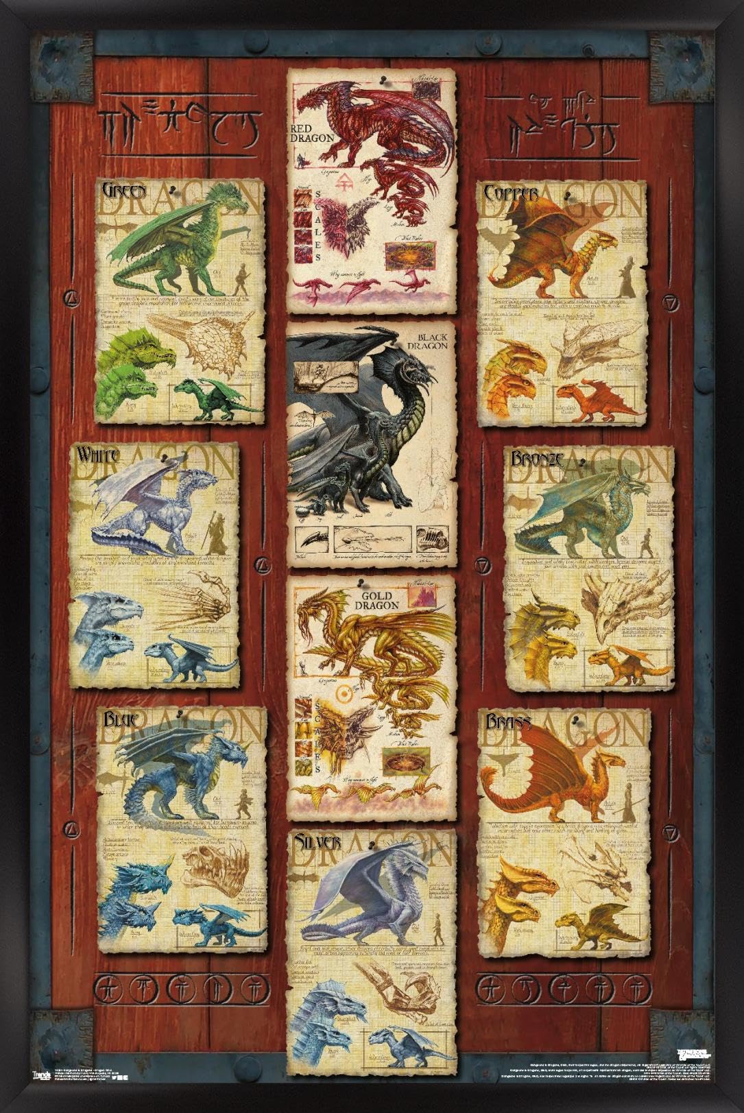 非売品 Dungeons & Dragons B1ポスター 非売品 Dungeons & Dragons B1ポスター Amazon.com: Trends