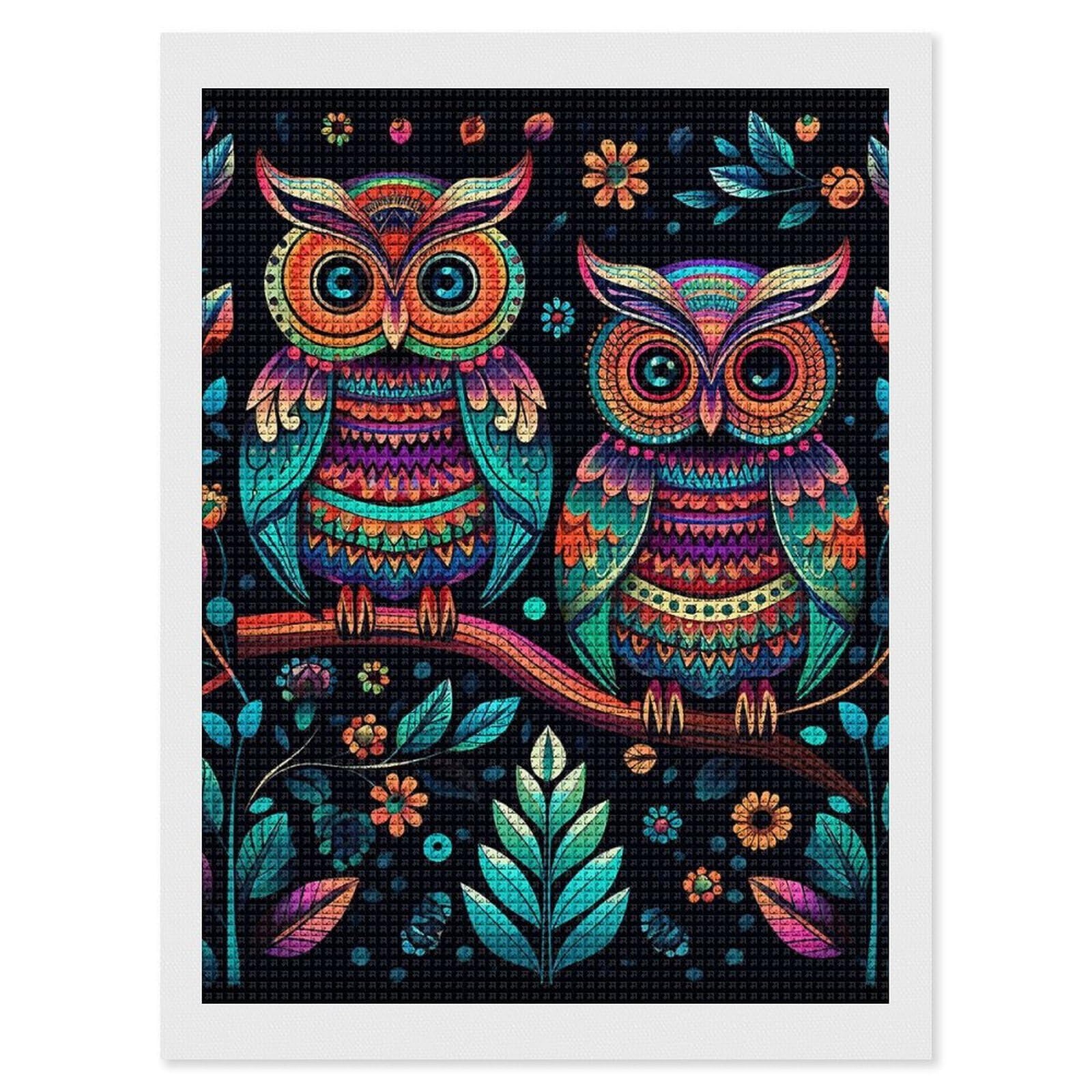 Colorful Owl Pictures Diamond Art Kits for Adults, DIY 5D Diamonds Painting Kits for Beginner, Round Full Drill Diamond Dots Painting, 12"x16" Diamonds Pictures Gem Art and Crafts Wall Decor