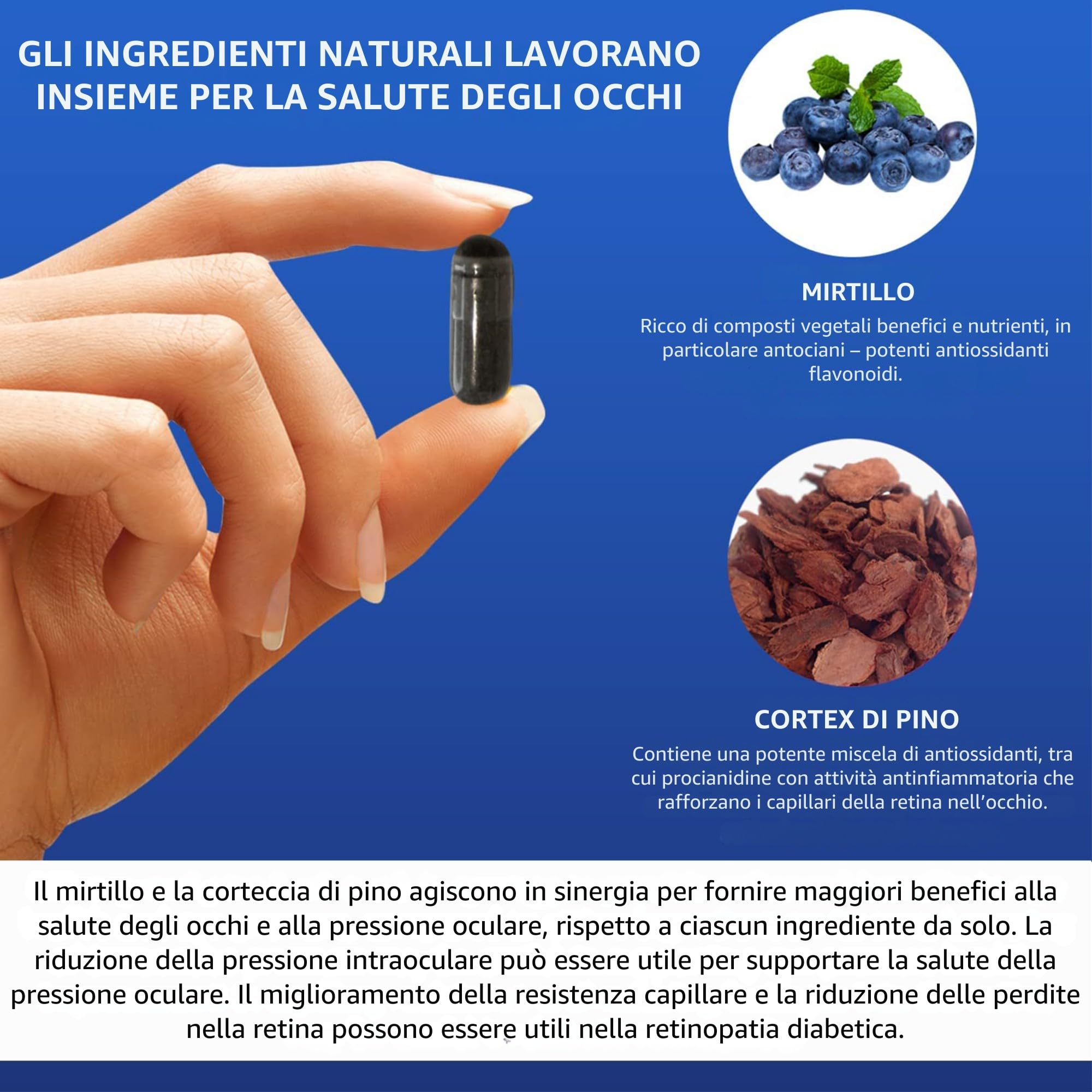 Supplemento di estratto di corteccia di mirtillo e pino: VISION DEFENDER BP– Antiossidanti Antociani e procianidine per la pressione oculare e il supporto per la salute degli occhi (60 capsule vegane)