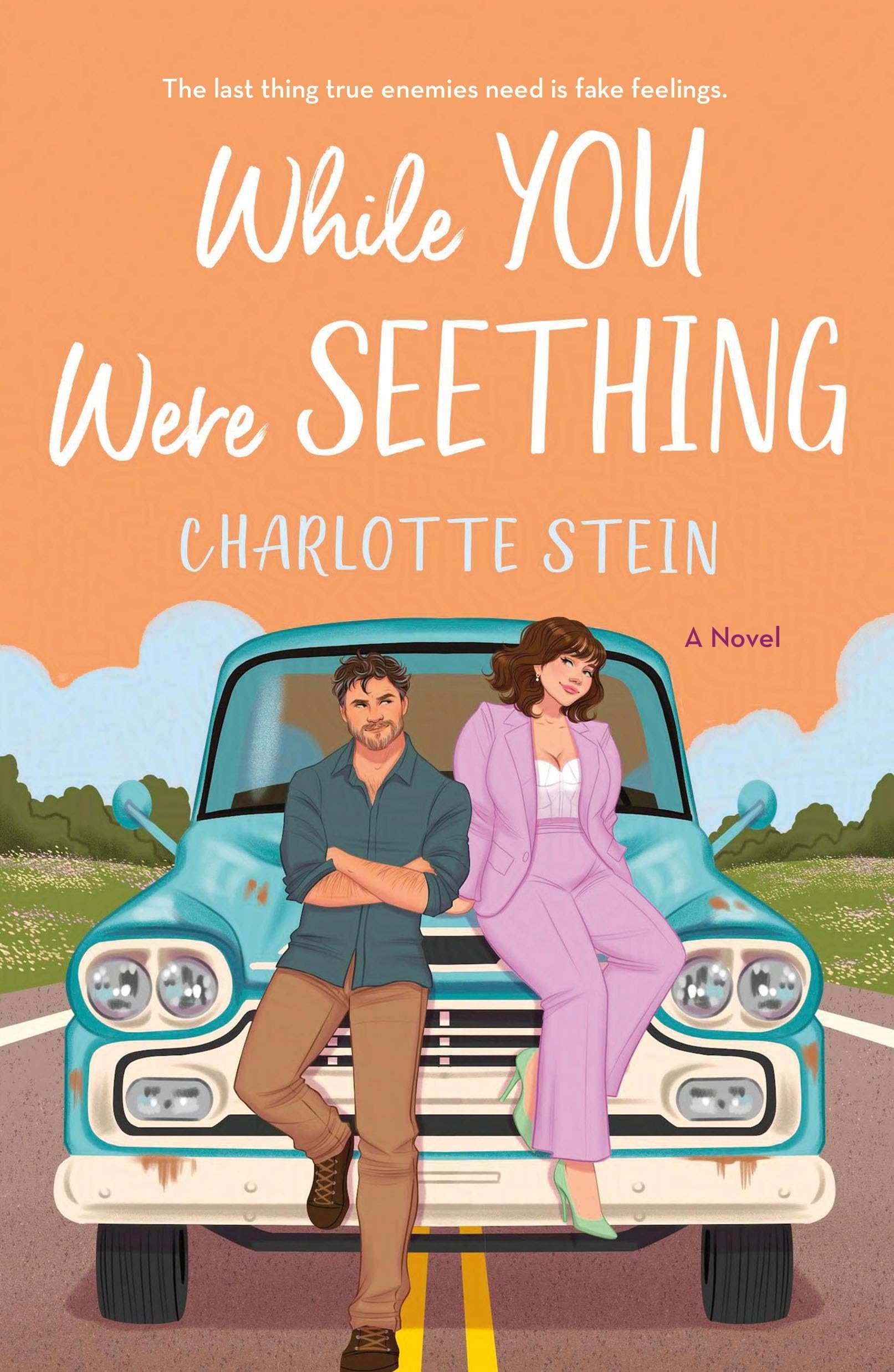 While You Were Seething by Charlotte Stein Paperback