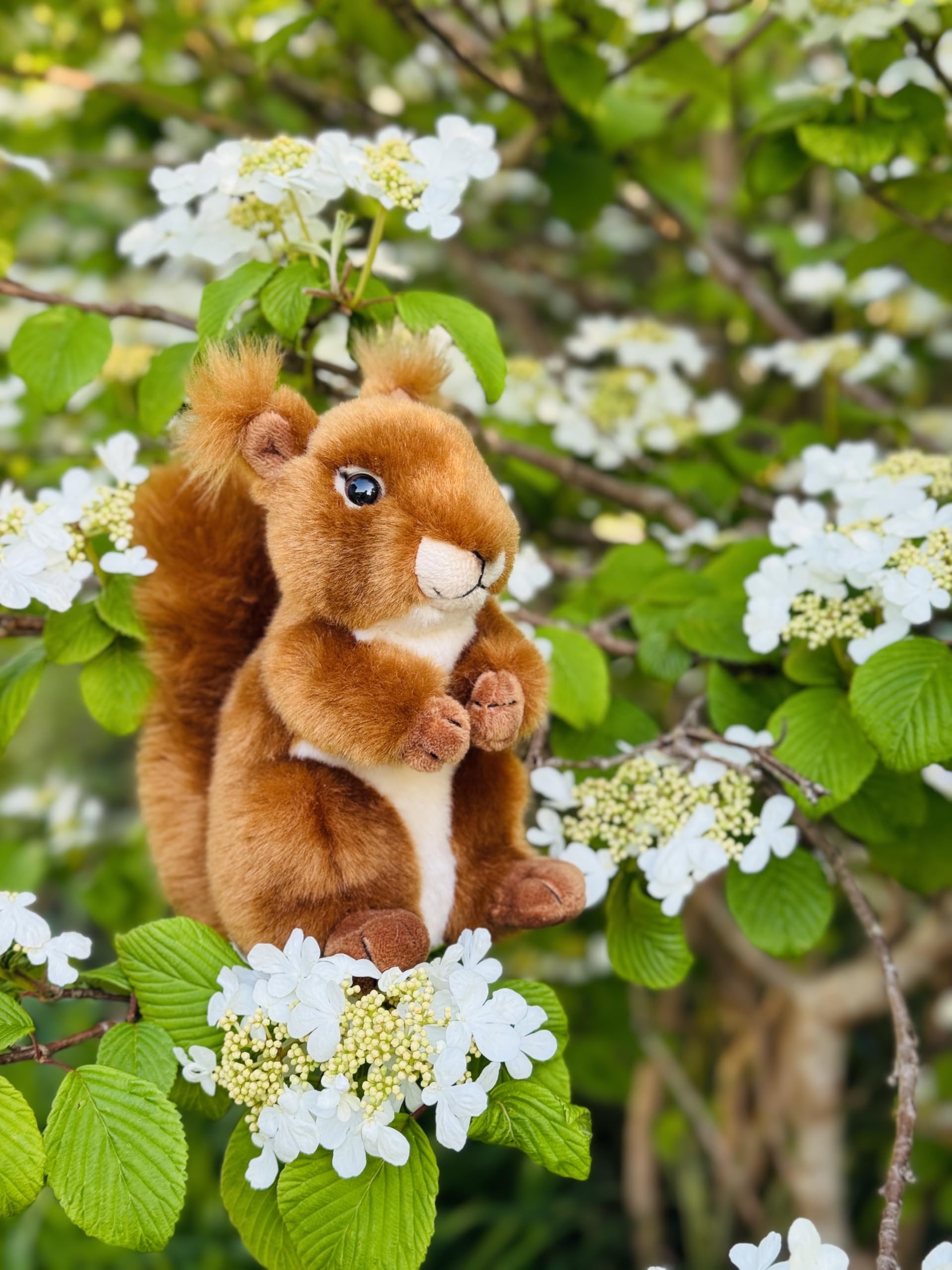 Amazon.co.jp: Hermann Teddy Collection - Peluche - 90818