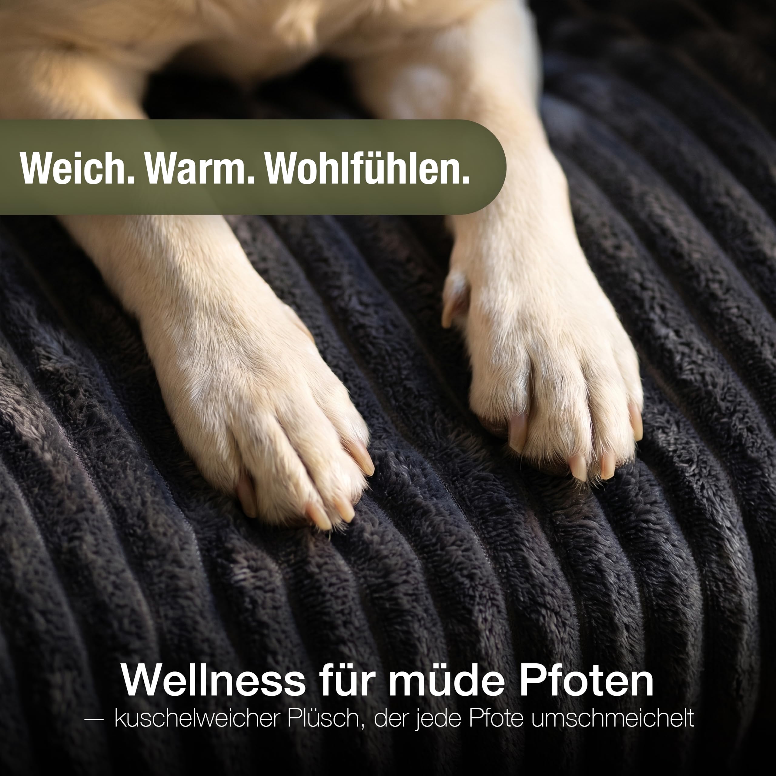 Hundebett & Sofaschutz – Cord Plüsch & Wasserdichter Boden – rutschfeste Sofa-Auflage für kleine & mittlere Hunde – VELVETPAW (Waschbar) – Marke aus Berlin, Farbe:Anthrazit
