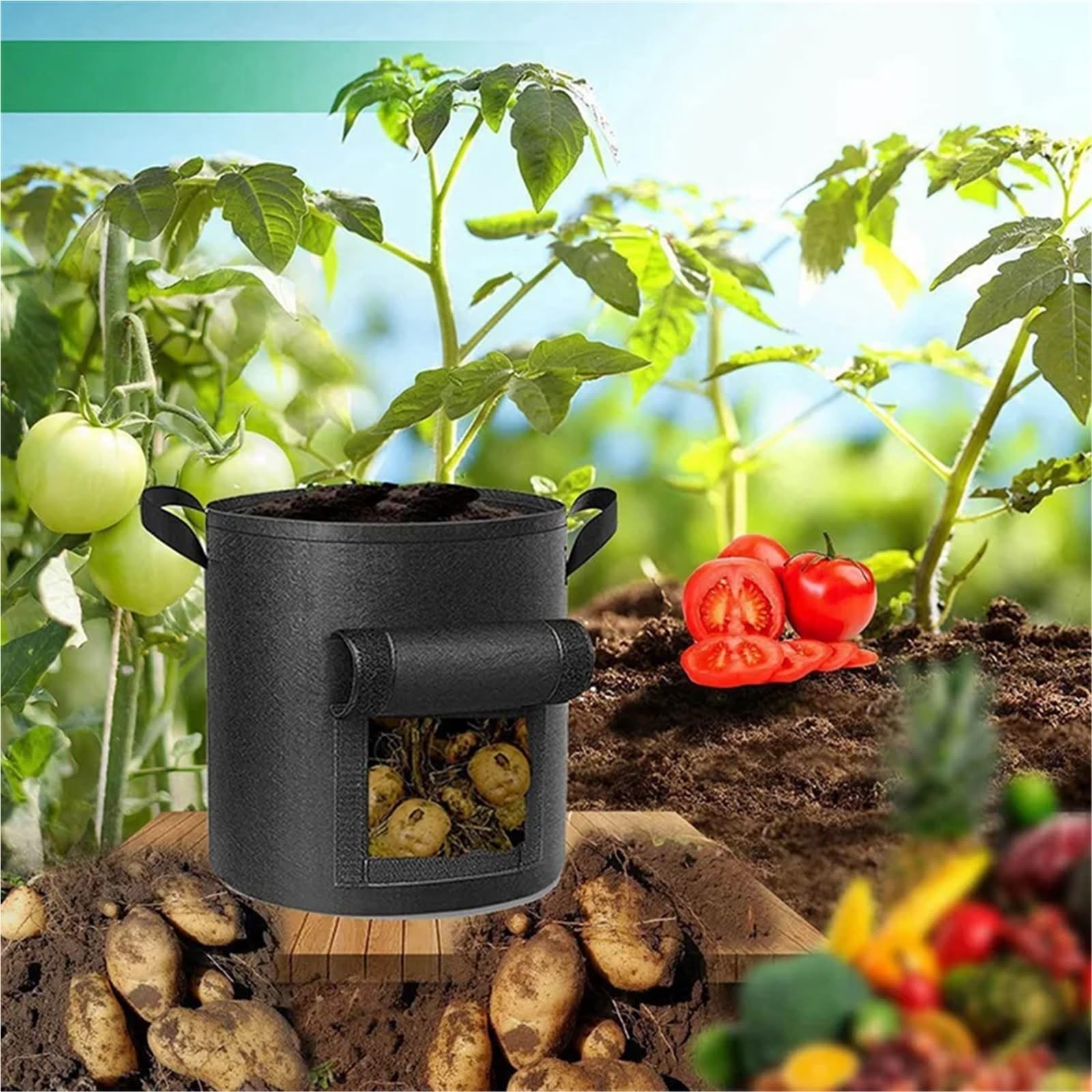Sac Plantation Non Tissé Sac de Culture Pommes Terre 10 gallons, Sacs Robustes for la, en Tissu avec Rabat