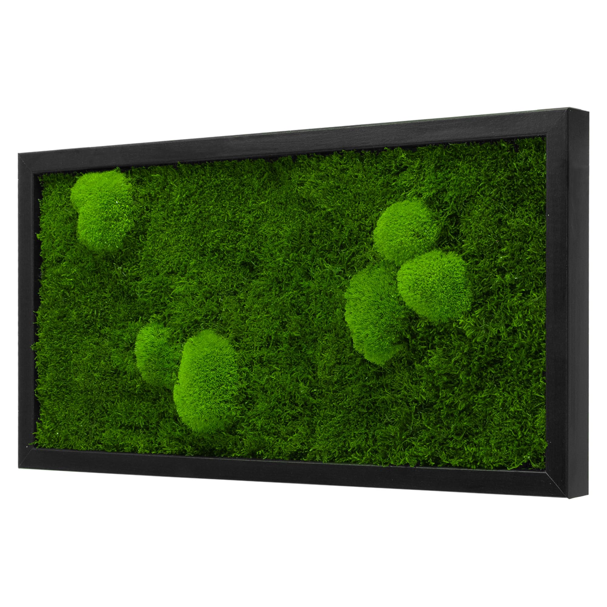 Moos Design | Moosbild in versch. Größen (Forest Design, Holzrahmen: schwarz, 60 x 30 cm)