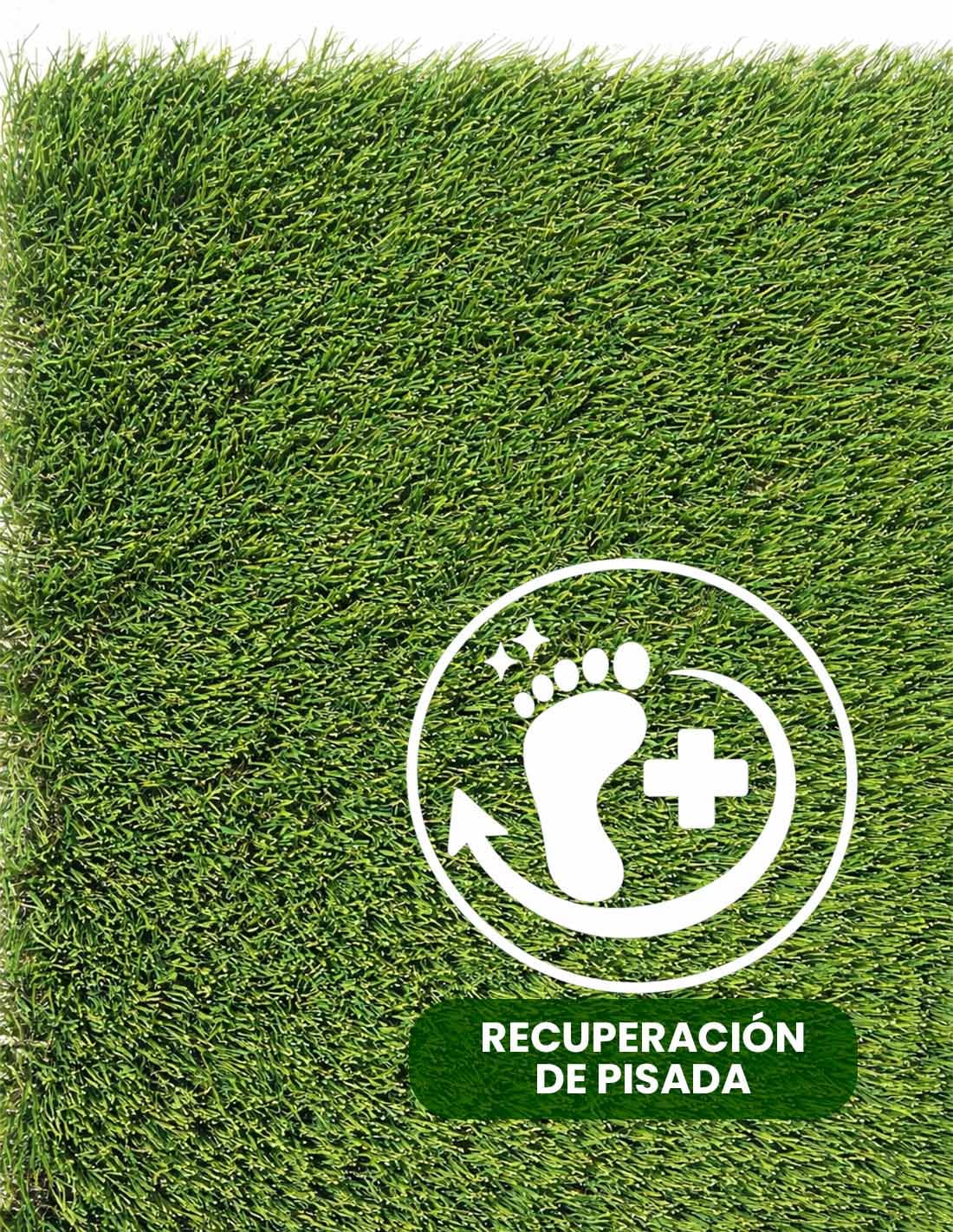 Jardin202 - Césped Artificial Sevilla 42mm - Rollos | Modelo Acolchado, Confortable y Resistente | Rollos 5x2 Metros -