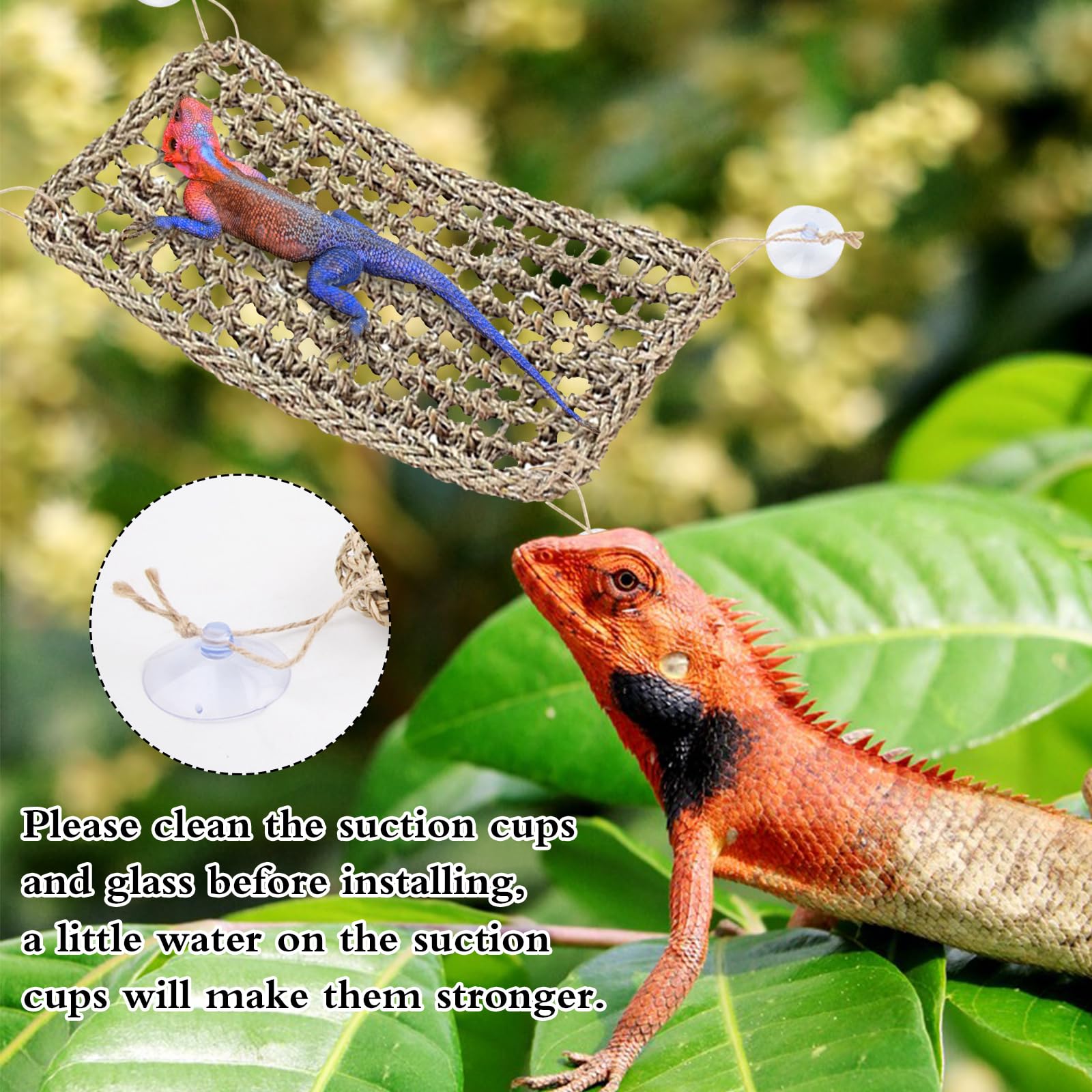 Hamac gecko avec réservoir de reptiles à suspendre pour terrarium - Feuilles artificielles pour lézards caméléons