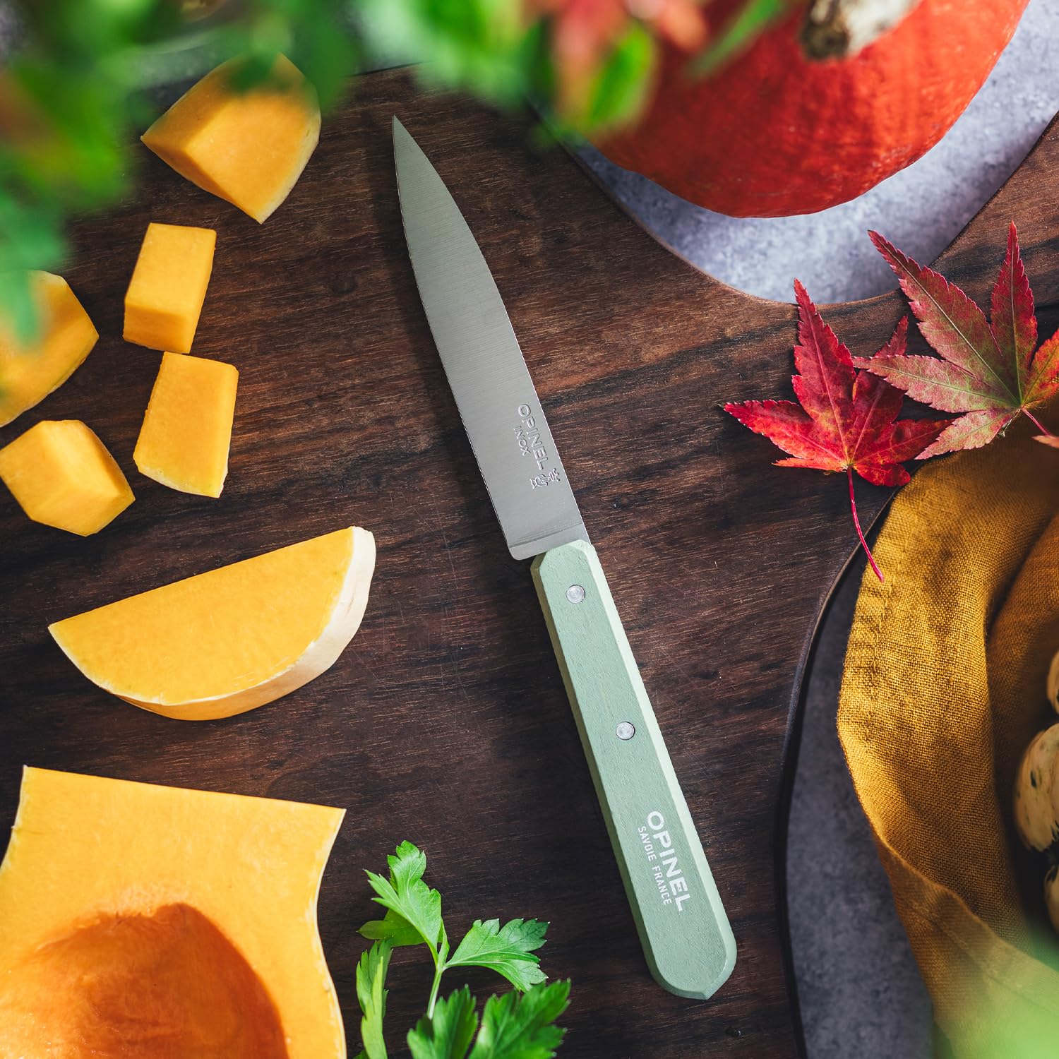 Opinel - Set mit 4 Gemüsemessern in Landschaftsfarbe N112. OPINEL