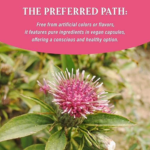 Miniatura 3 de Prebióticos y probióticos para mujeres mezcla de probióticos vaginales, prebióticos naturales, apoyo a base de hierbas, promueve la salud femenina y