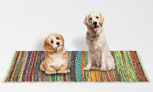 Miniatura 5 de India Artistic Alfombra reversible Chindi multicolor Alfombra de algodón tejida a mano, 4 x 6 pies, reciclada para sala de estar y cocina