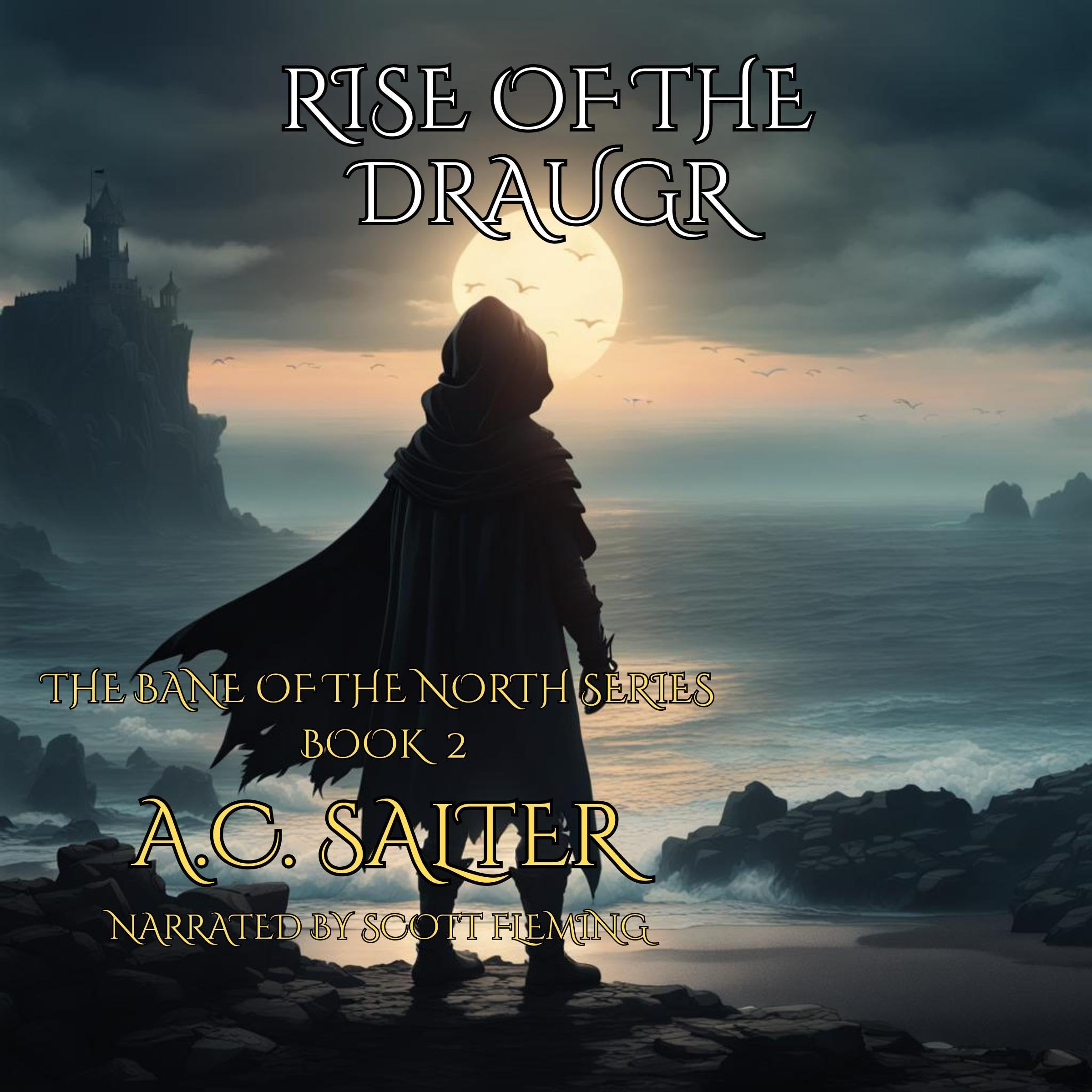Cover art for Rise of the Draugr
