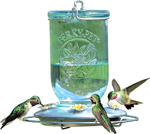 Perky-Pet 785-1SR - Comedero de vidrio vintage para colibríes decoración de jardín al aire libre capacidad de 32 onzas