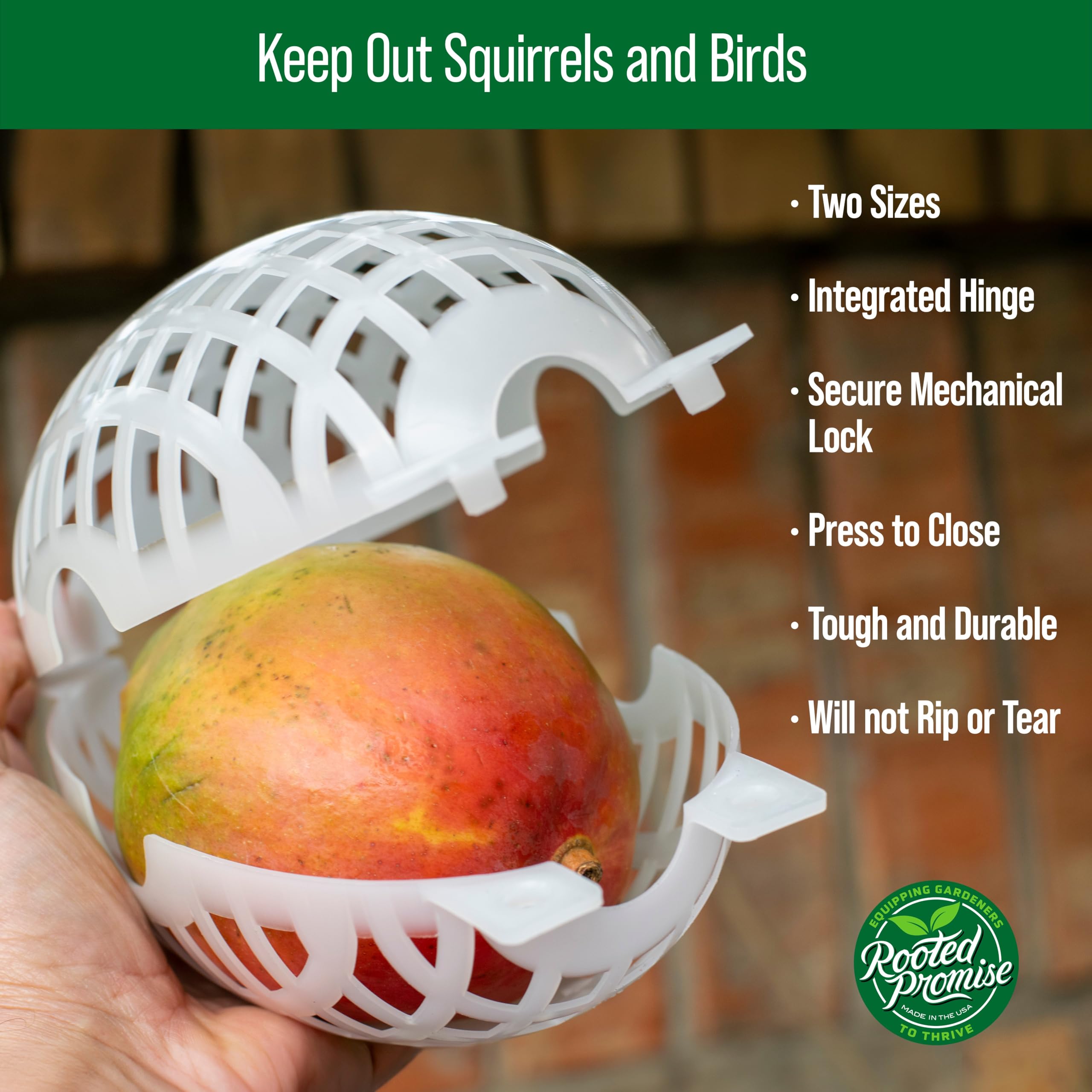 Rooted Promise 12 Pack Large Fruit Protection Cages 5 x 8 inch, Perfect for Protecting mangos on Fruit Trees - Made in The USA