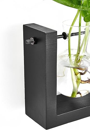 Miniatura 5 de Mkono Terrario de plantas con soporte de madera, maceta de vidrio para colgar en la pared, jarrón de propagación de plantas de escritorio con