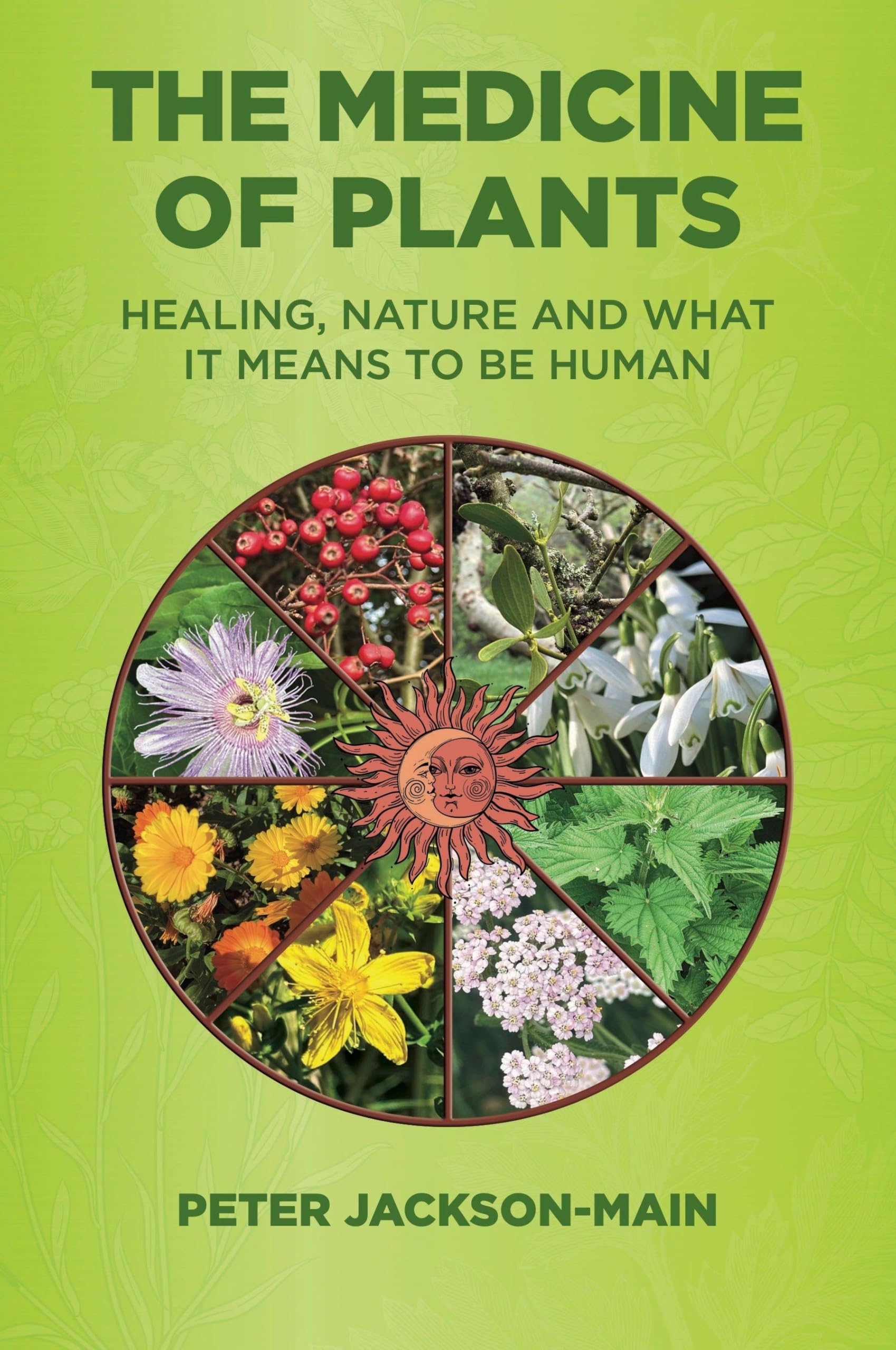 The Medicine of Plants: Healing, Nature, and What It Means to Be Human