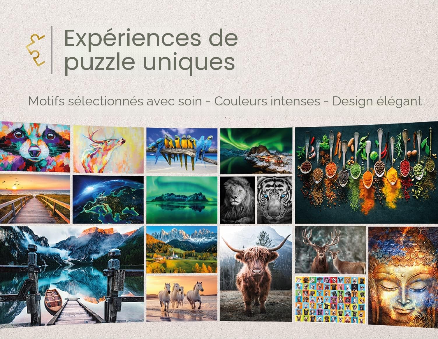 Ulmer Puzzleschmiede - Puzzle Galaxie 2000 pièces - Espace & Univers - Nébuleuse d'Andromède, Astronomie, Spectaculaire galaxie spirale 3D