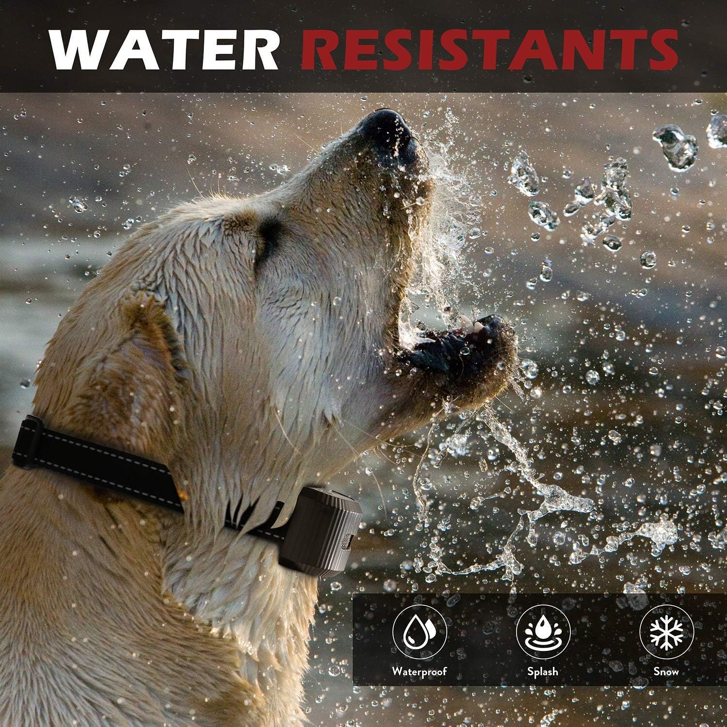 Dog Bark Collar, Rechargeable Waterproof Anti Bark Device Dog Training Collar with 7 Adjustable Level Sensitivity Harmless Shock and Vibration, Warning Beep Sound, LED Display (White)
