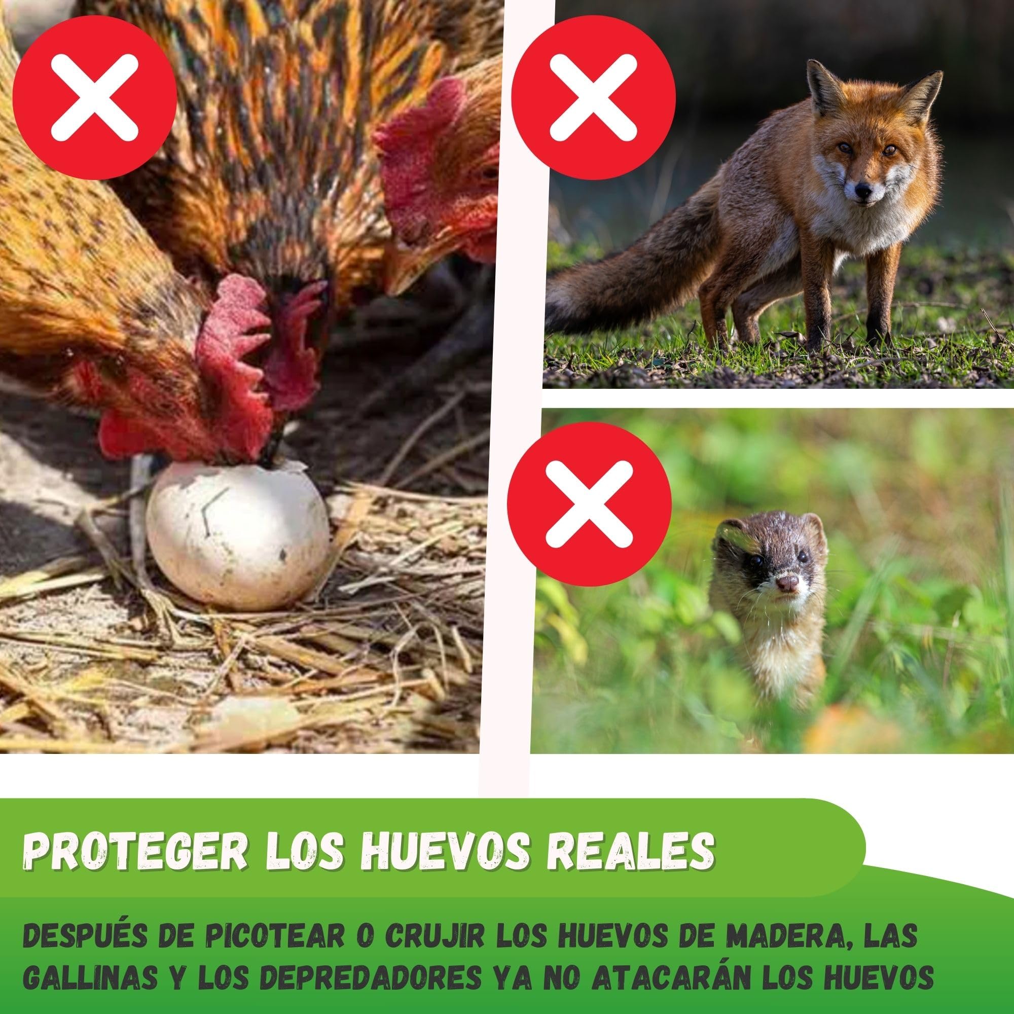 JARDEN Pack de 5 Huevos Falsos de Madera para Gallinas – Huevos Nido Realistas para Estimular la Puesta
