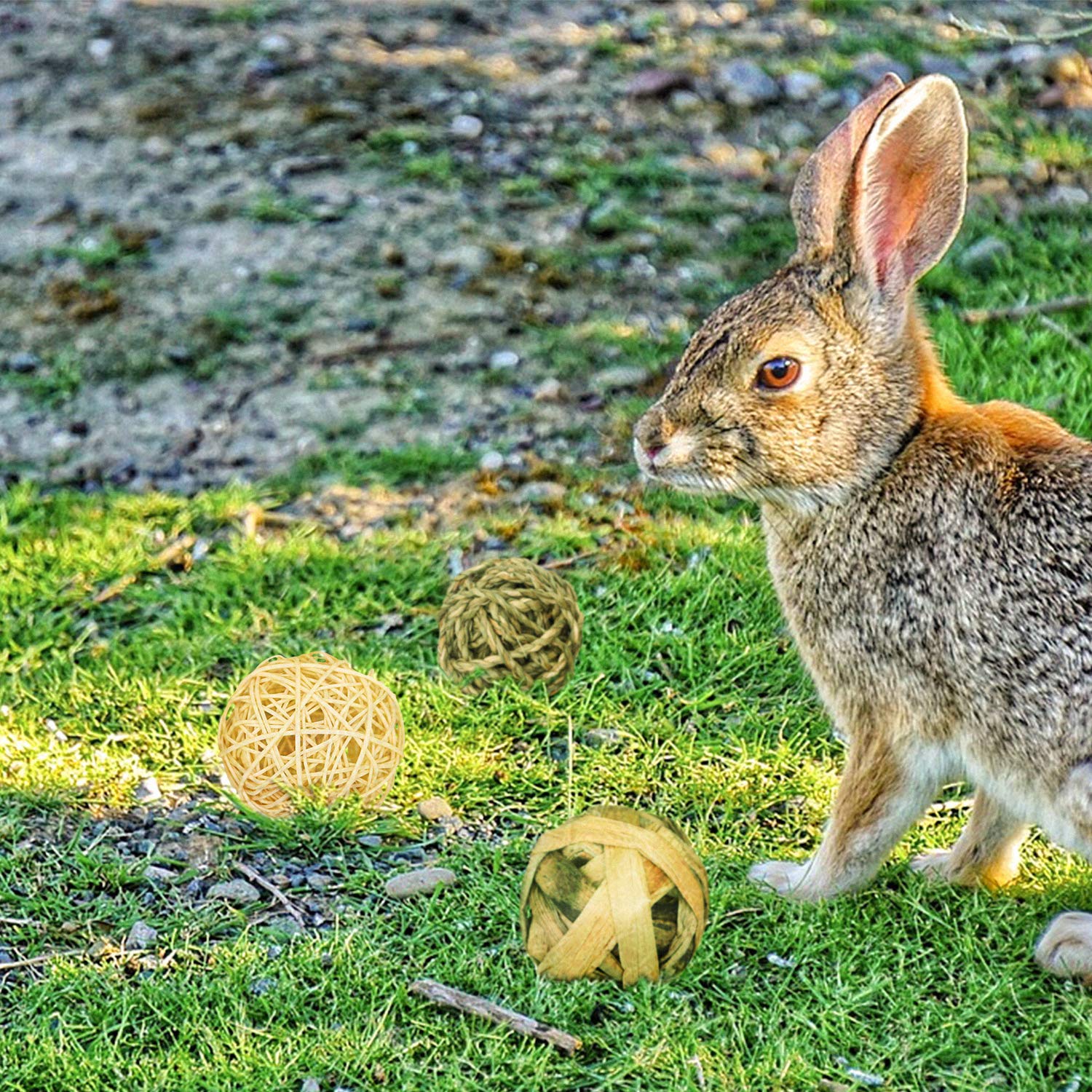 8 Stück Kaninchen Kauspielzeug Aus Timothy Heu - Grasbälle Für Nager Zahnpflege