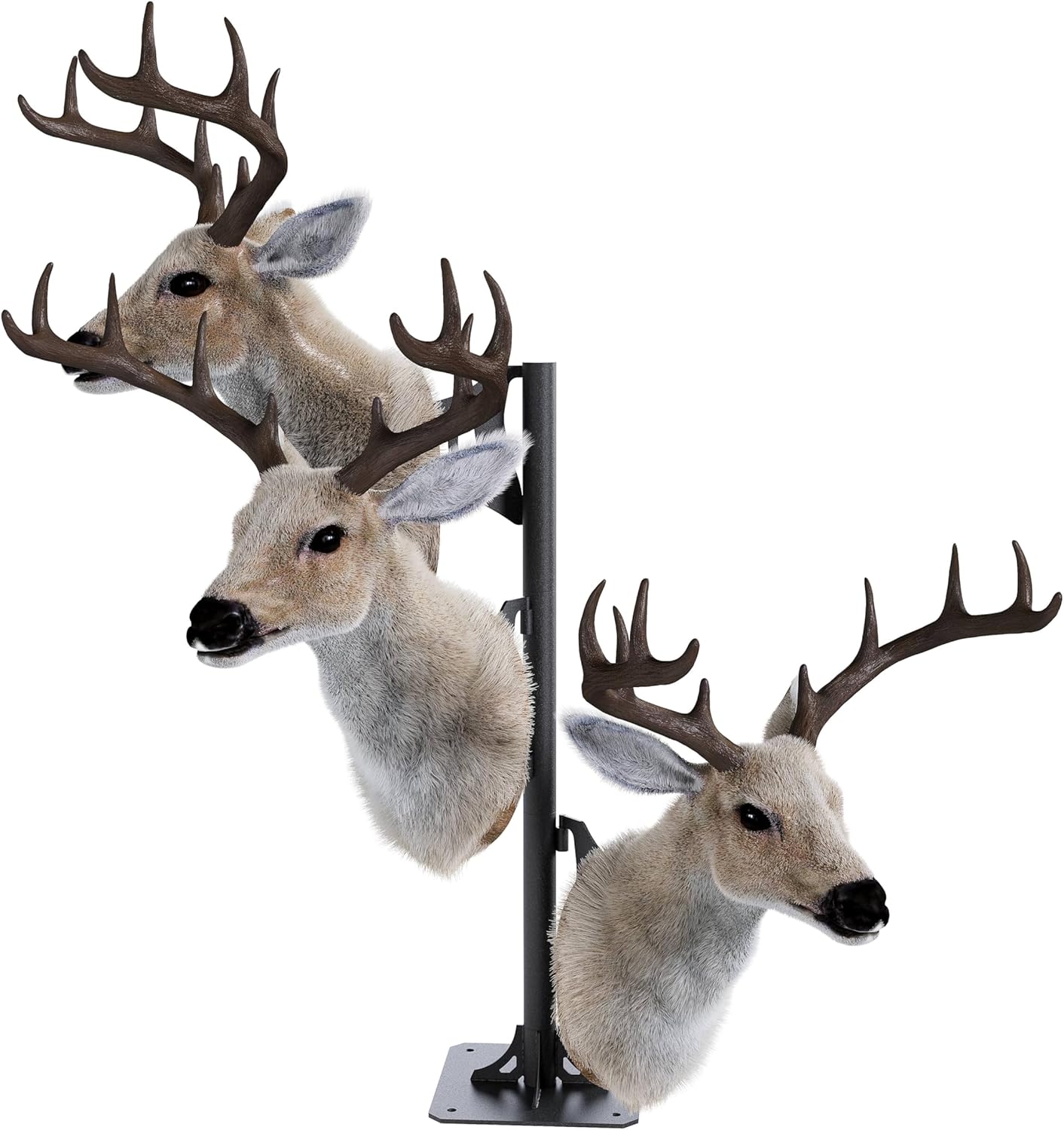 KUAFU Trophy Mount Bone Bracket, Deer Antler Mounting Kit, Adjustable Shoulder Mount, Skull Display Stand, Taxidermy Animal Mounting Hanger, Powder Coated Black Steel